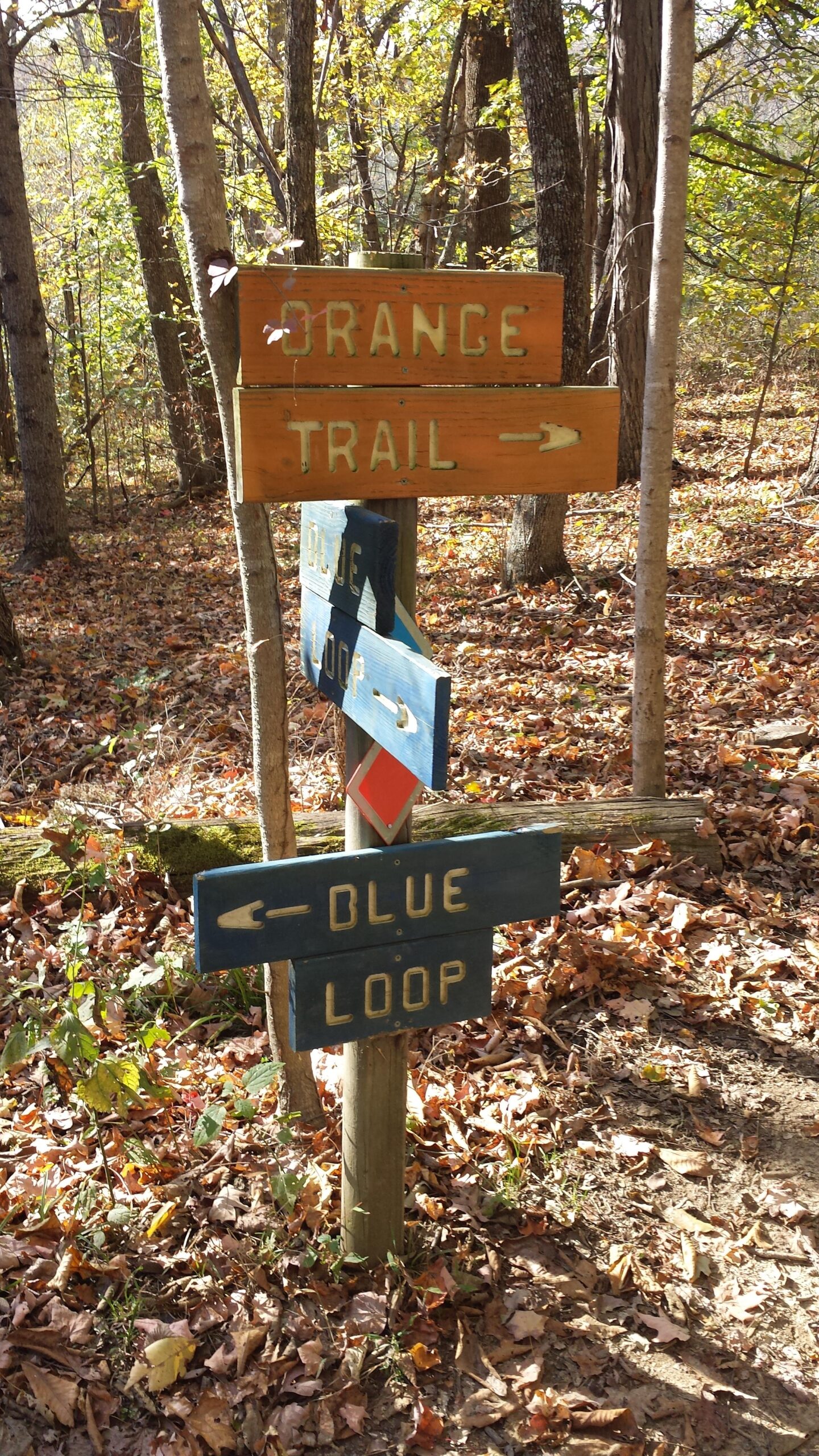 Wooden trail signs indicating directions for the Orange Trail and Blue Loop, surrounded by autumn leaves and trees in a wooded area. Skullbuster mountain bike trail.