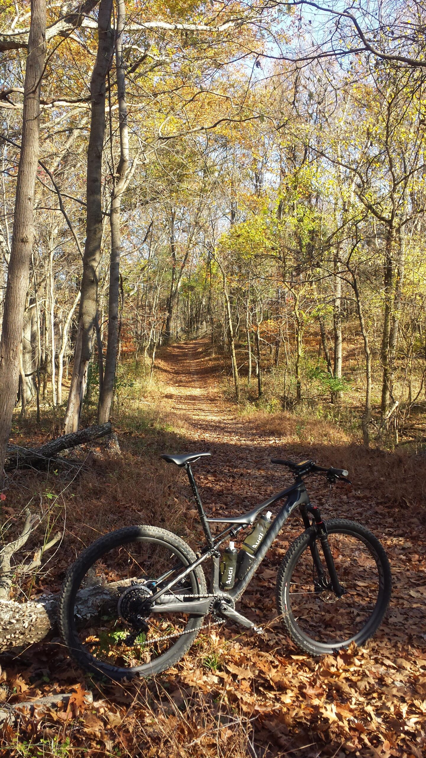 A mountain bike rests on a leaf-covered trail surrounded by tall trees. The path meanders through a colorful autumn forest, with scattered leaves in shades of orange and yellow, and sunlight filtering through the branches. Capital View mountain bike trail.