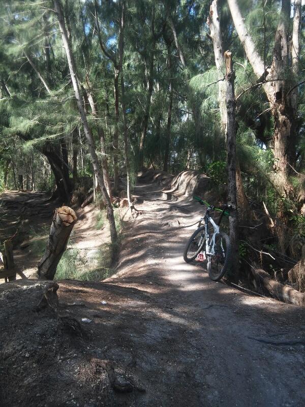 A mountain bike leaning against a tree on a dirt trail surrounded by dense greenery. The path is winding and features uneven terrain, with sunlight filtering through the trees overhead, creating a natural and peaceful outdoor setting. Markham Park mountain bike trail.