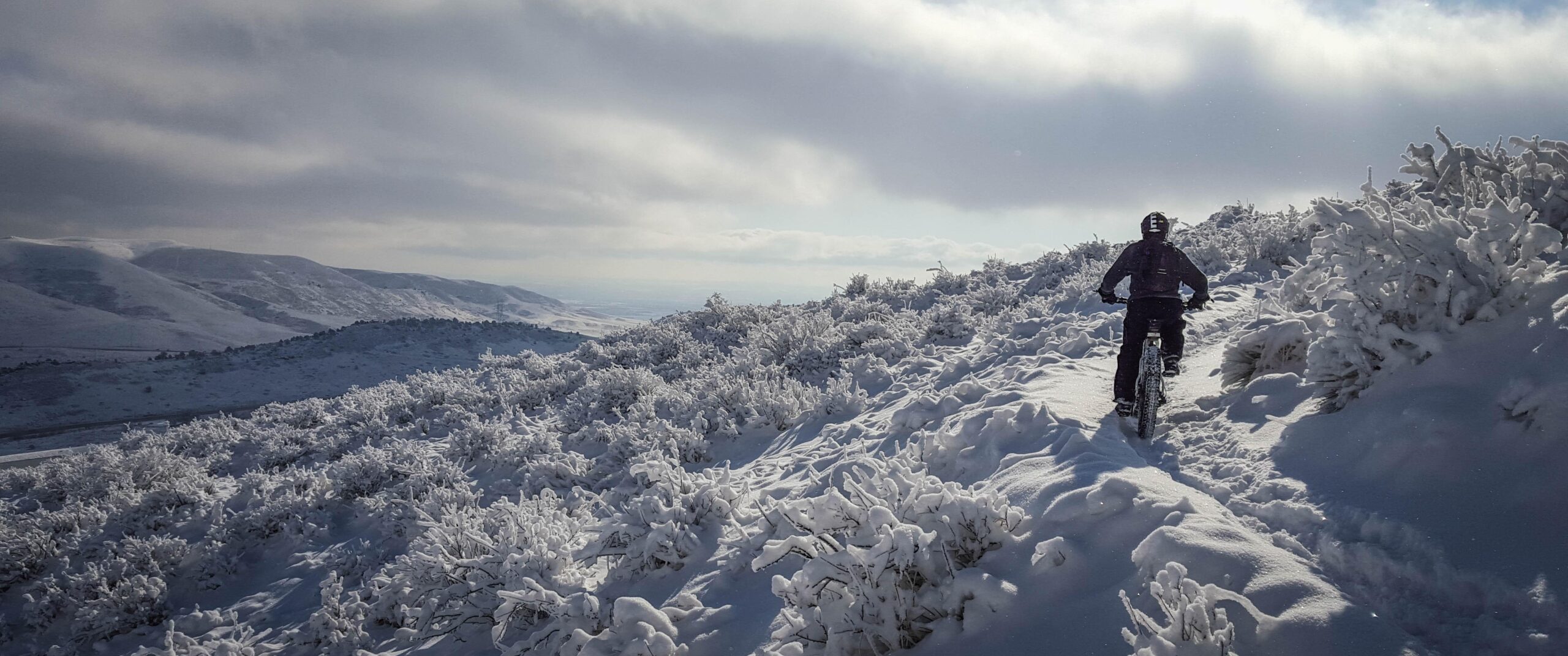 A person riding a fat bike along a snow-covered trail, surrounded by frosted shrubs and hills under a cloudy sky. The landscape features a winter scene with a serene atmosphere. Apex Park mountain bike trail.