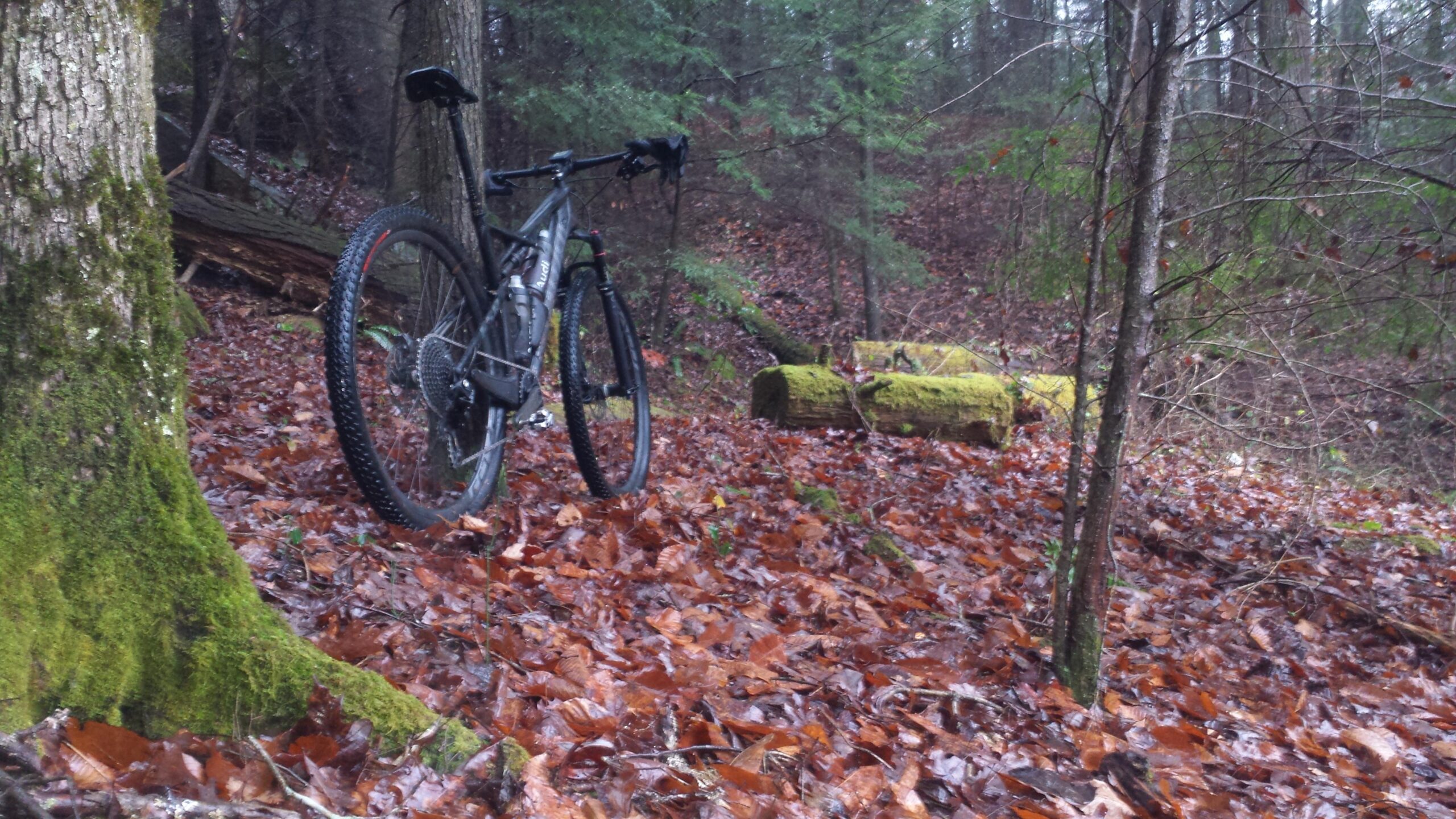A mountain bike resting on the forest floor covered with reddish-brown leaves, surrounded by trees and mossy logs, creating a serene and natural atmosphere. Sheltowee Trace - Laurel Lake Trail mountain bike trail.