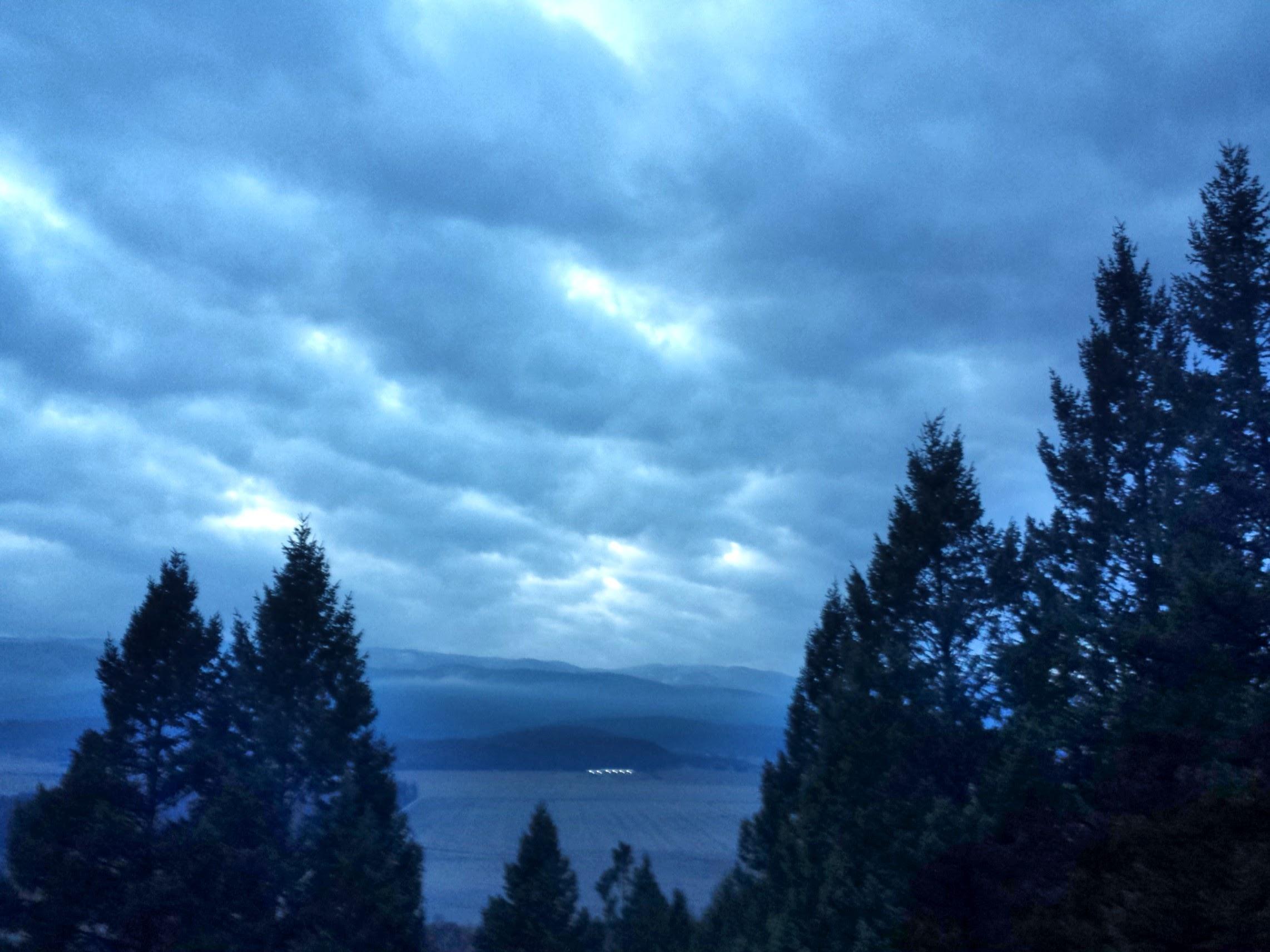 A scenic view of a cloudy sky at dusk, with dark green coniferous trees in the foreground and distant mountains partially obscured by mist in the background. The overall atmosphere conveys a tranquil, serene landscape. Spencer Mountain mountain bike trail.
