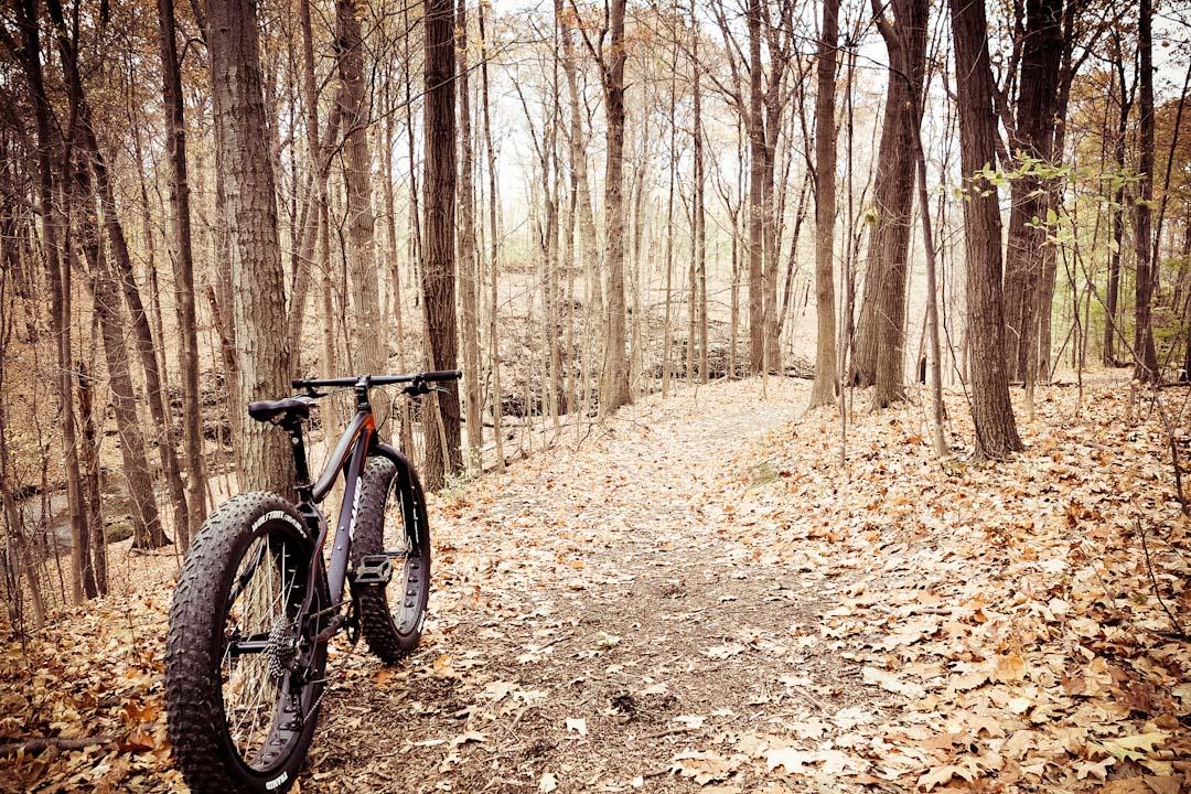 Framed Framed Wolftrax: A fat tire bike parked on a leaf-covered trail in a wooded area during autumn, with trees in the background and fallen leaves scattered on the ground. The scene showcases a peaceful setting ideal for mountain biking.
