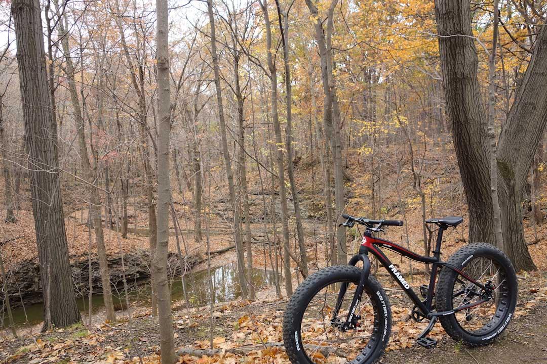 Framed Framed Wolftrax: A fat tire mountain bike is parked on a forest trail surrounded by trees with autumn leaves. In the background, a small creek can be seen winding through the landscape, with a carpet of fallen leaves covering the ground. The scene captures the tranquility of nature during the fall season.