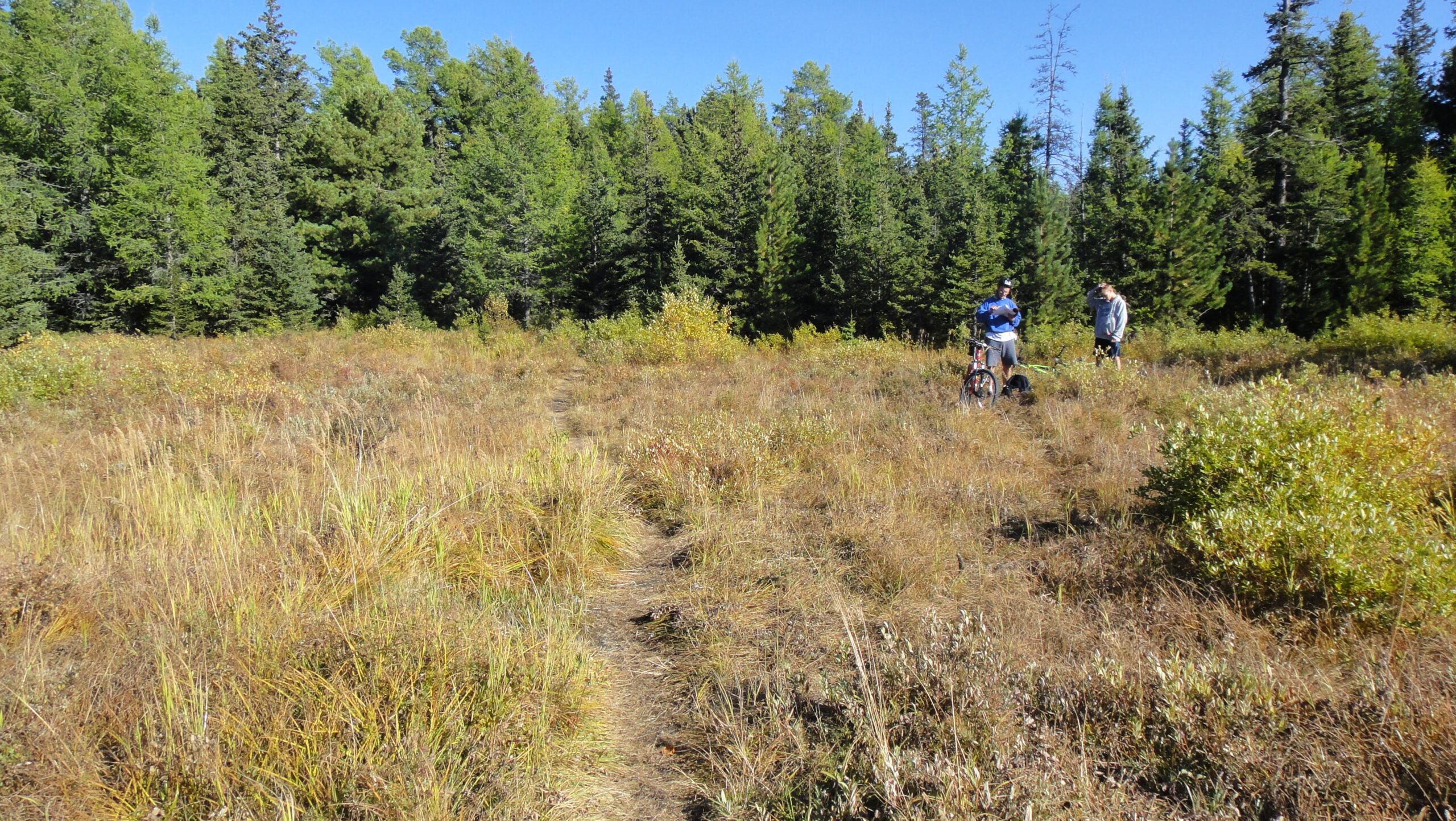 Two people standing in a grassy area surrounded by tall trees, with one person on a bicycle. The landscape is sunny, showcasing a mix of green foliage and dried grasses. There is a visible dirt path leading through the vegetation. Forbidden Valley Loop mountain bike trail.