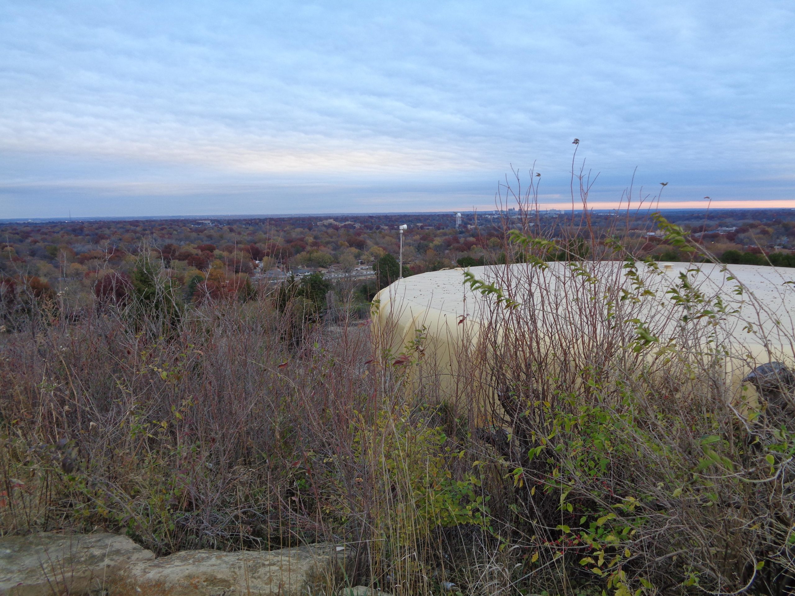 A scenic view from a hilltop, featuring a distant landscape of trees in autumn hues, a cloudy sky, and a large circular structure partially hidden by overgrown vegetation in the foreground. Skyline Park - Burnetts Mound Trail mountain bike trail.