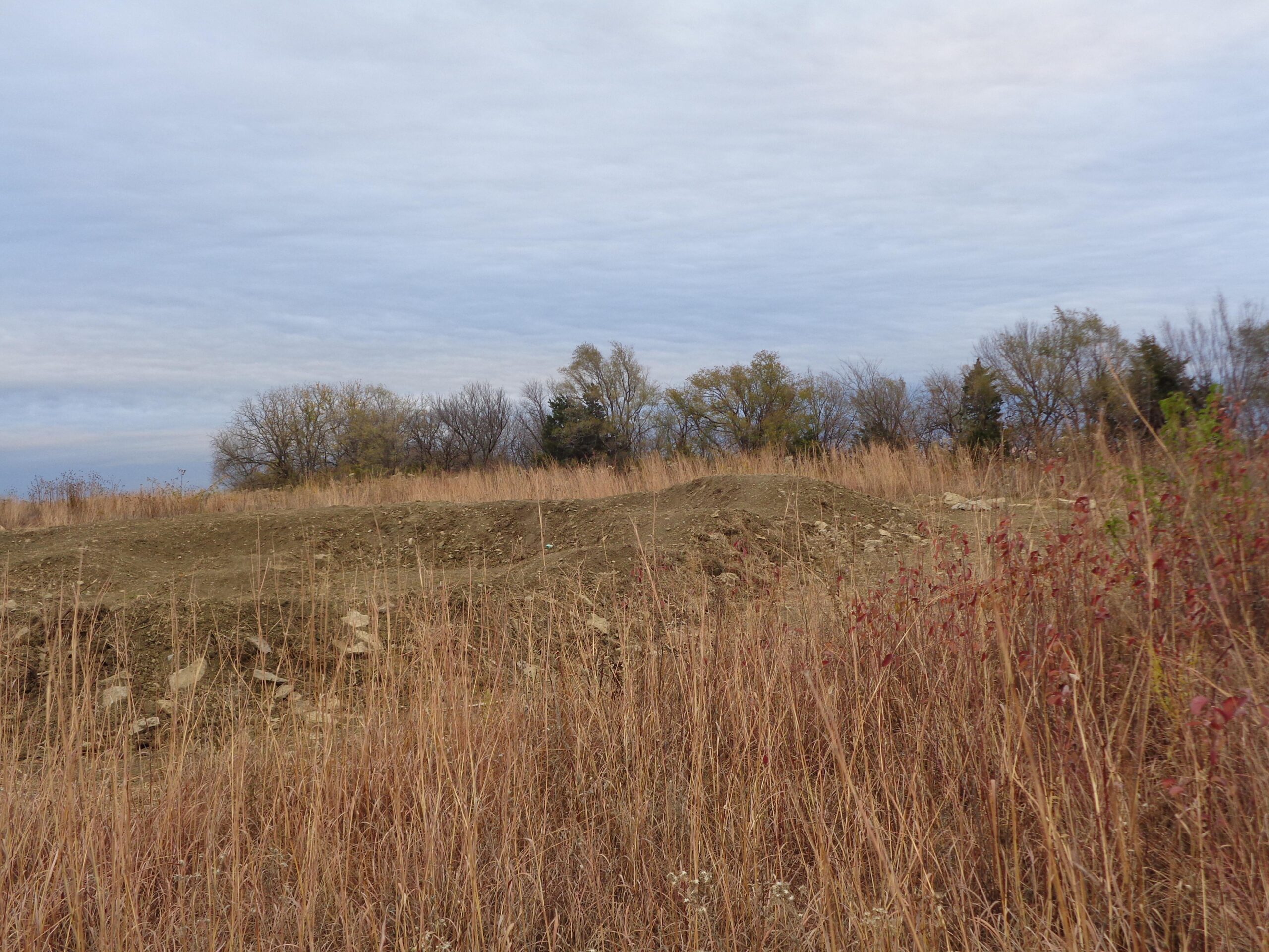 A scenic view of a grassy field with tall, dry grasses and a small dirt mound in the foreground. Behind the mound, there are sparse trees, some with autumn leaves, under a cloudy sky. The overall setting appears natural and open. Skyline Park - Burnetts Mound Trail mountain bike trail.