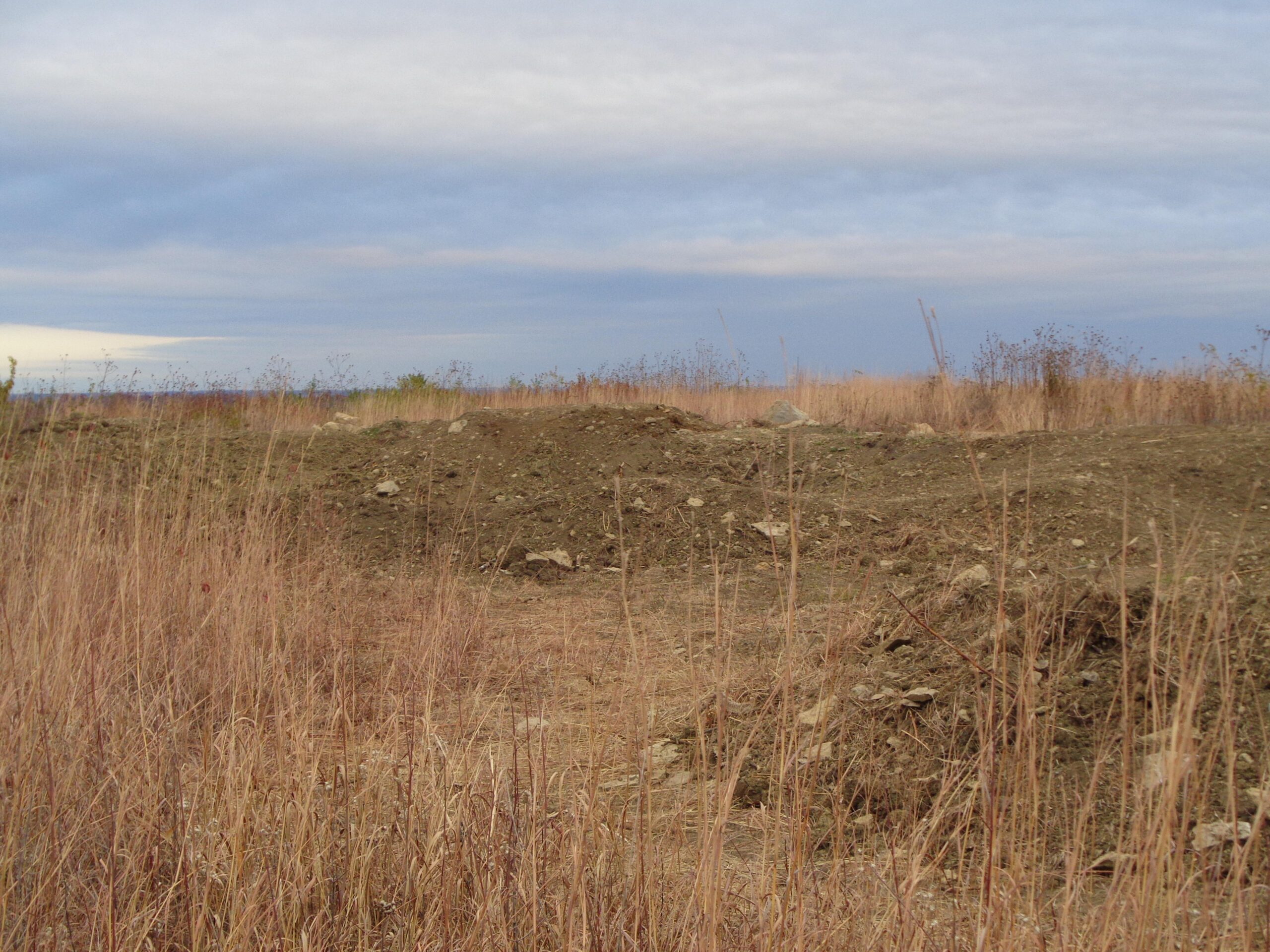 A landscape showing uneven, barren ground with patches of dry grass and scattered rocks, under a cloudy sky. Skyline Park - Burnetts Mound Trail mountain bike trail.