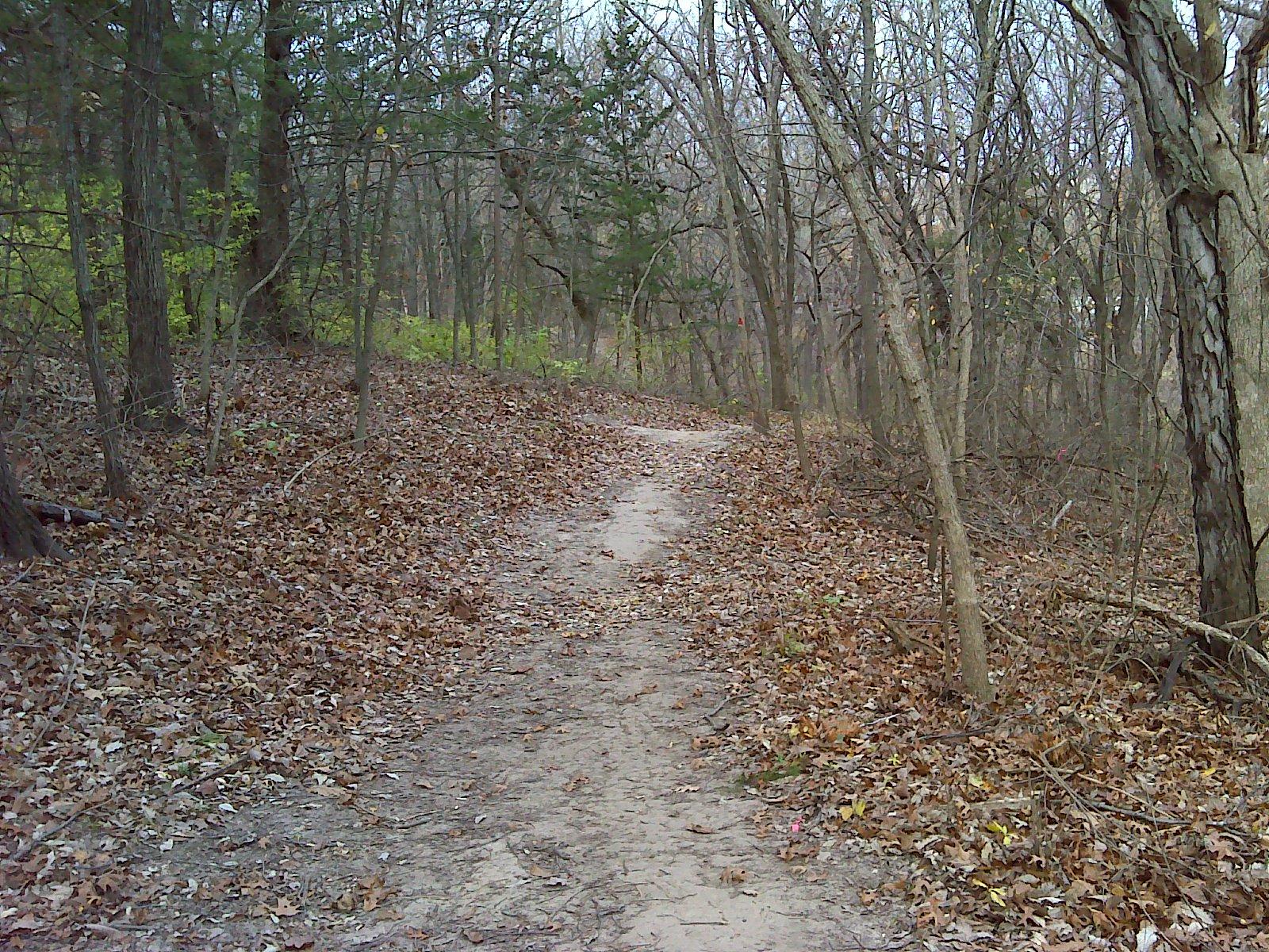 A dirt path winding through a wooded area, surrounded by bare trees and scattered autumn leaves. The trail is slightly elevated on one side, leading into the distance where more greenery is visible. Skyline Park - Burnetts Mound Trail mountain bike trail.