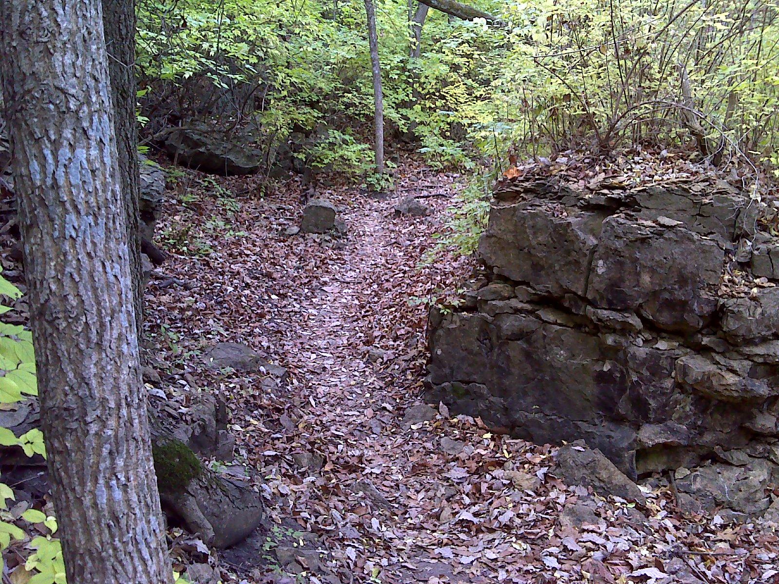 A narrow, winding trail through a wooded area, lined with rocks and covered in fallen leaves. Green foliage surrounds the path, creating a serene and natural atmosphere. Maclennan Park mountain bike trail.