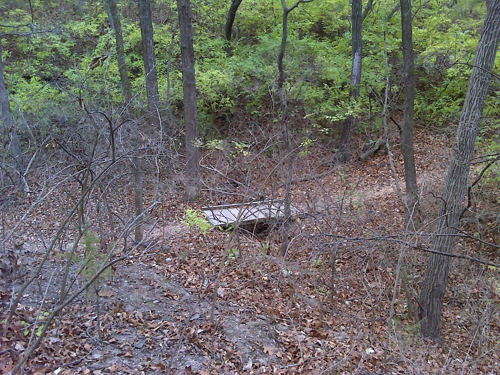 A wooded area with dense greenery and trees. In the foreground, a small wooden bridge spans a dry, leaf-covered trail. The ground is littered with fallen leaves, and the surrounding vegetation appears lush and verdant, hinting at a peaceful natural setting. Maclennan Park mountain bike trail.