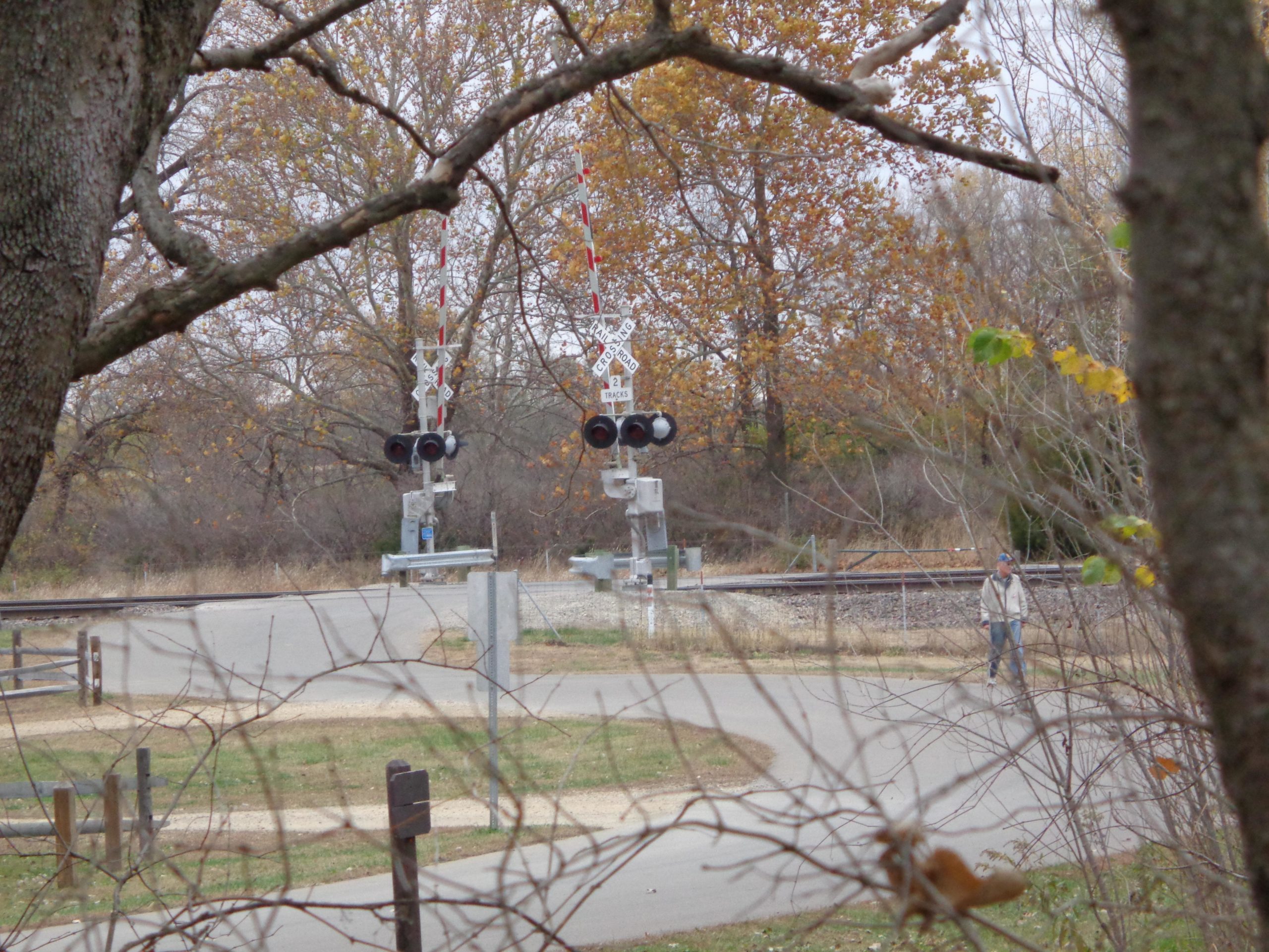 A view of a railroad crossing with warning signals, surrounded by trees and autumn foliage, with a path leading toward the tracks. A person approaches the crossing on the path. Maclennan Park mountain bike trail.