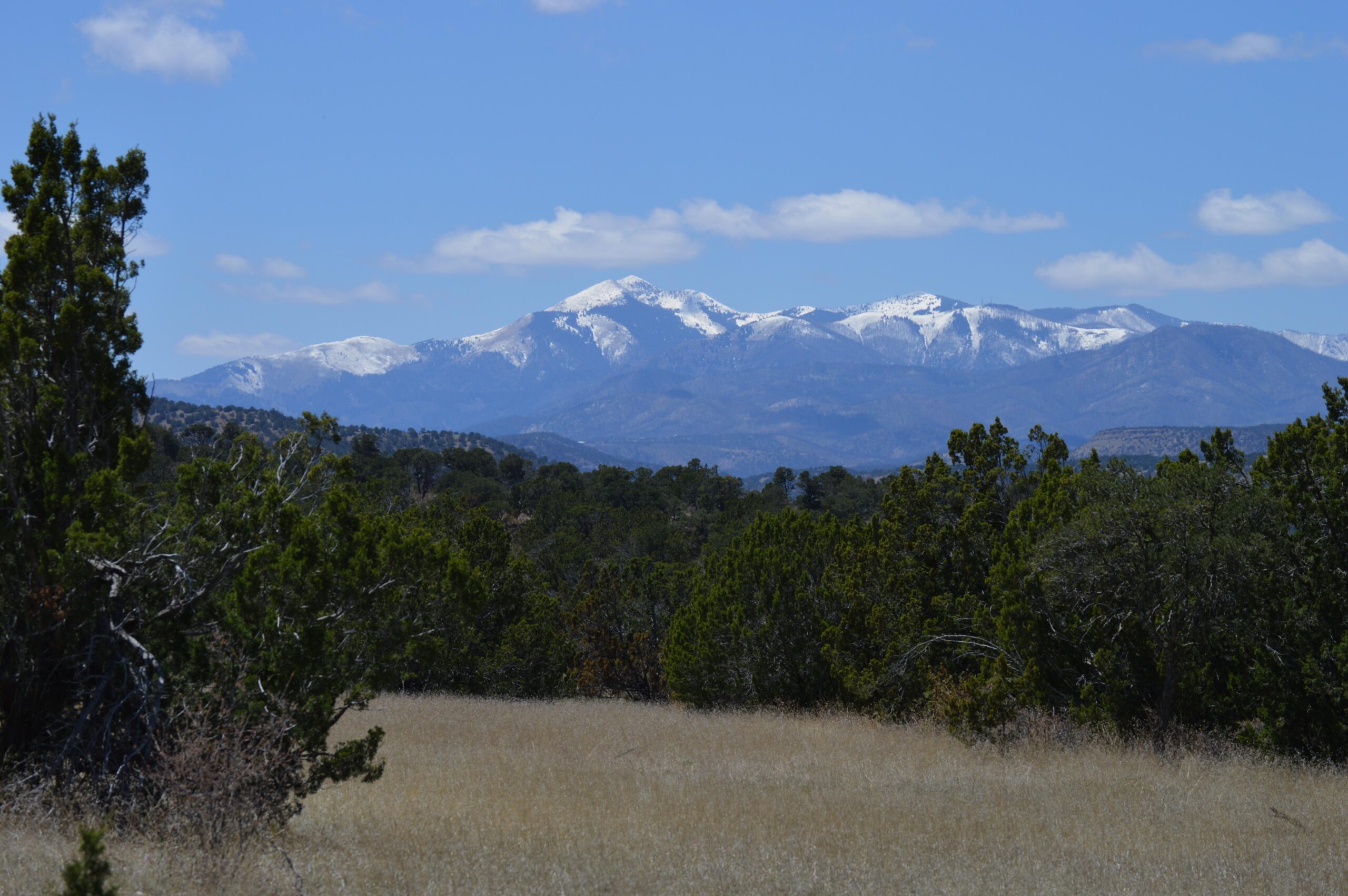 A scenic view of snow-capped mountains under a clear blue sky, framed by green shrubs and grass in the foreground. The landscape showcases a mix of rocky terrain and lush vegetation, highlighting the beauty of nature. Fort Stanton-Snowy River Cave National Conservation Area mountain bike trail.