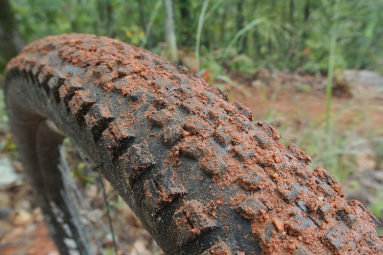 Close-up shot of a muddy mountain bike tire, showcasing the tread pattern and coated in reddish-brown dirt, with a blurred natural background of greenery and earthy tones.