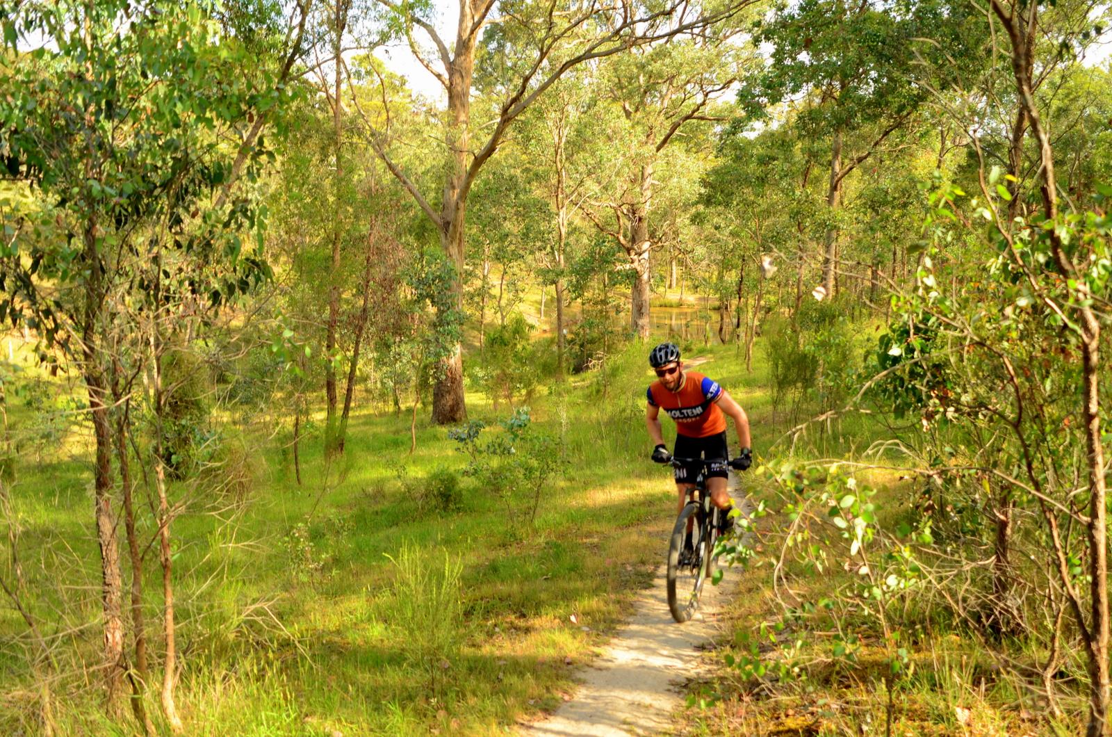 A cyclist riding a mountain bike along a narrow path in a lush green forest, surrounded by tall trees and vegetation. The cyclist is wearing a bright orange jersey and a helmet, focused on navigating the trail. Soft sunlight filters through the leaves, creating a serene outdoor atmosphere. Plenty Gorge mountain bike trail.