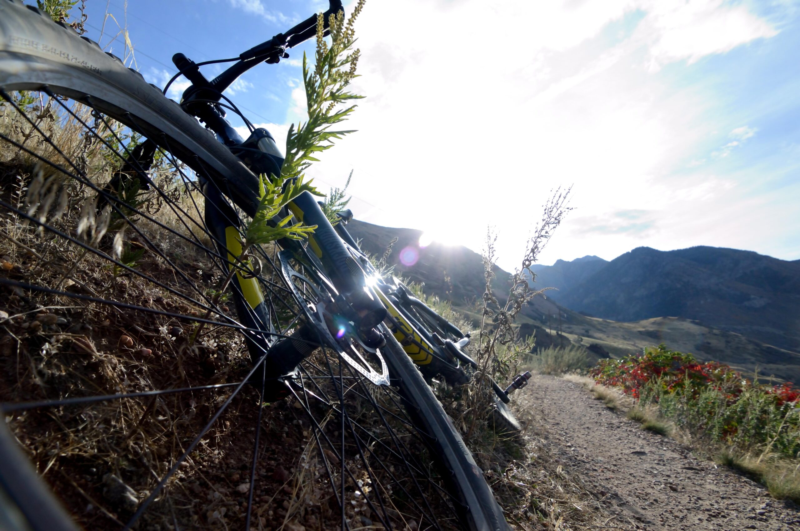 A close-up view of a mountain bike resting on a dirt trail, with sunlight filtering through the wheel spokes and illuminating surrounding plants. The background features rolling hills and mountains under a partly cloudy sky. Bonneville Shoreline Trail - Ogden Section mountain bike trail.