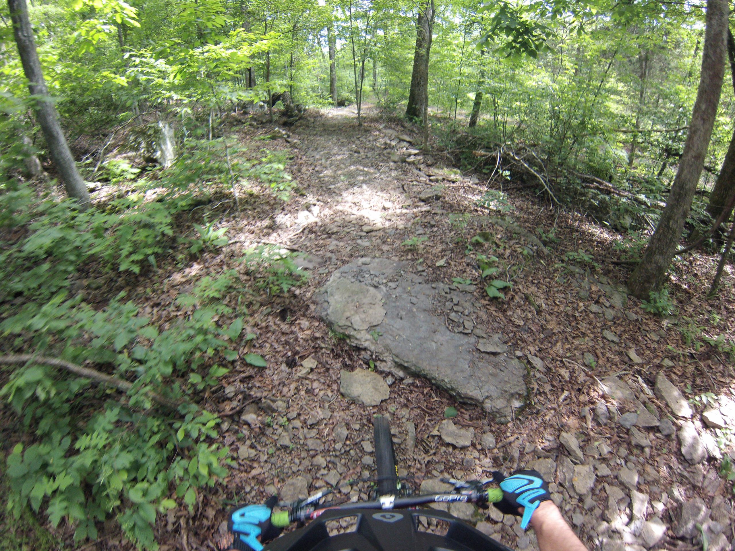 A mountain biker's view of a rocky trail surrounded by lush green foliage and trees, showing a dirt path with scattered stones and leaves. The perspective includes a hand gripping the bike handlebar, emphasizing the outdoor adventure in a natural setting. Fossil Flats mountain bike trail.