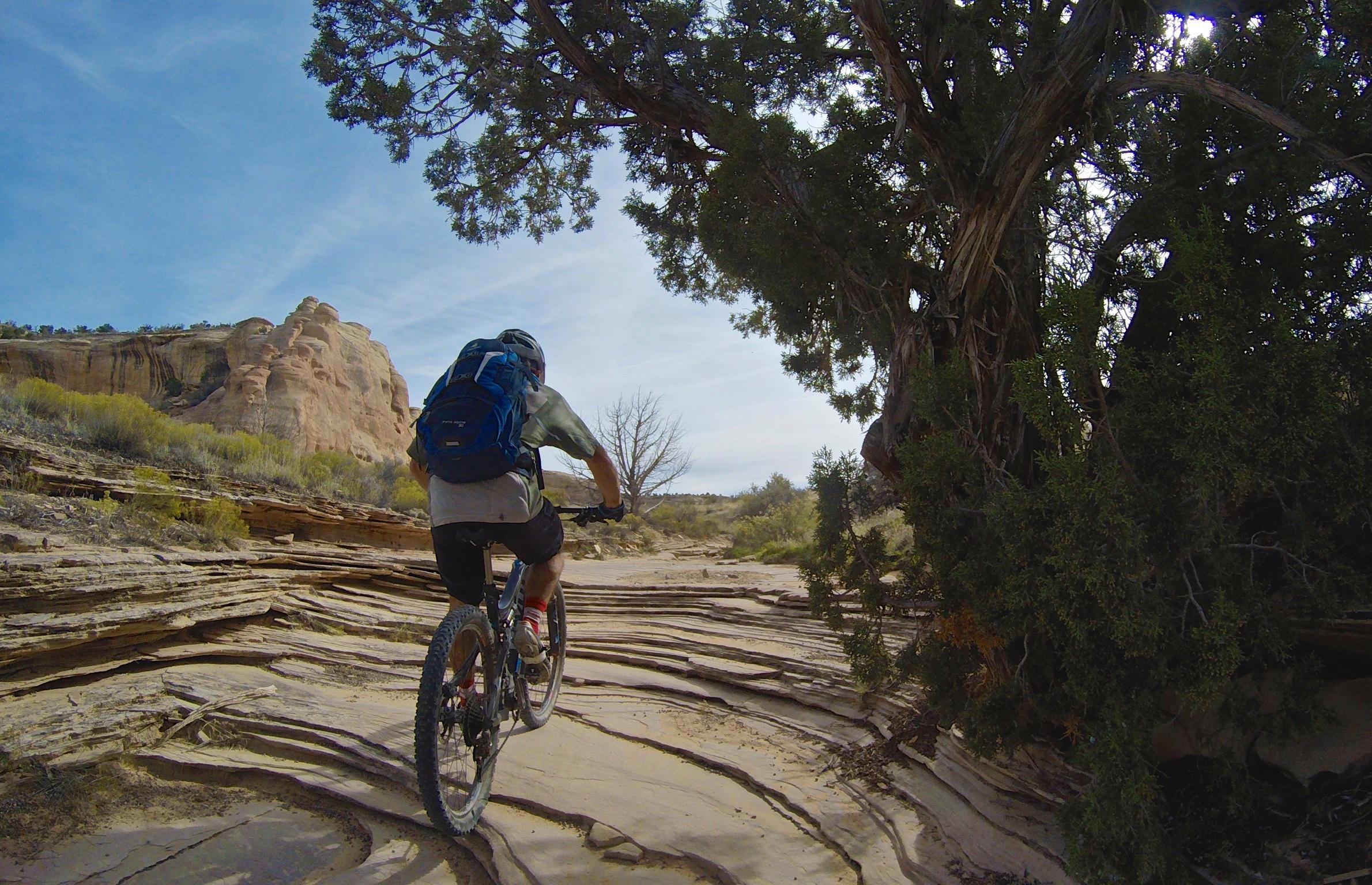 A mountain biker riding along a rocky trail surrounded by desert scenery, with layered rock formations and sparse vegetation under a blue sky. A tree is visible on the right side of the image, providing shade along the path. Kokopelli Area Trails mountain bike trail.