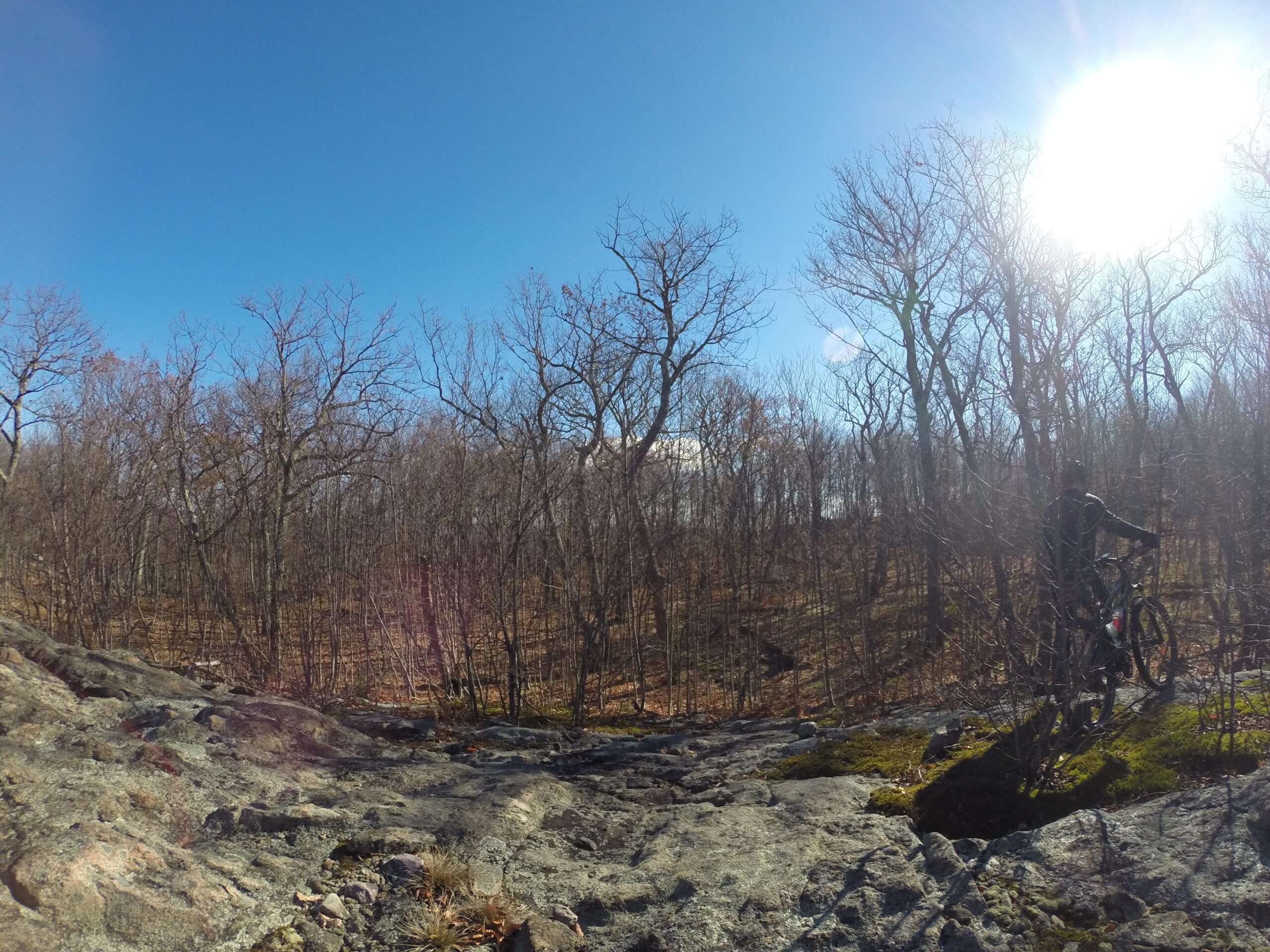 A biker in a black outfit stands next to a mountain bike on rocky terrain, surrounded by a sparse forest of leafless trees under a clear blue sky. The sun shines brightly in the top right corner of the image, illuminating the scene. Long Pond Ironworks State Park mountain bike trail.