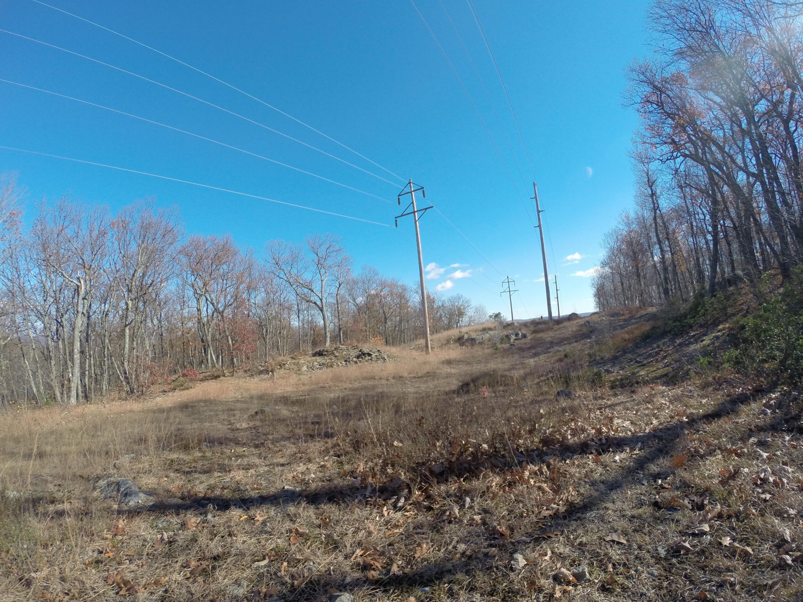 A landscape view of a clearing with tall power lines stretching across a bright blue sky, surrounded by leafless trees and sparse grass. The scene captures the transition of seasons, with hints of autumn colors in the foliage. Long Pond Ironworks State Park mountain bike trail.