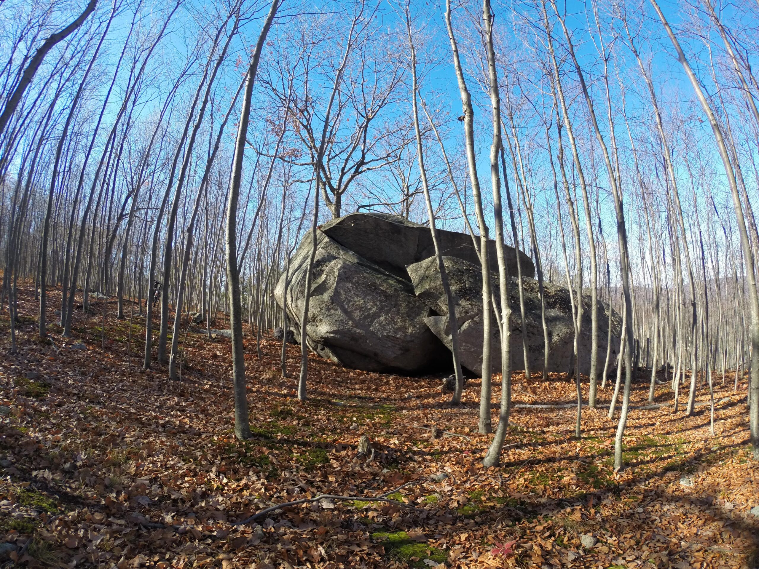 A large boulder surrounded by bare trees in a forest during autumn, with a carpet of fallen leaves on the ground and a clear blue sky above. Long Pond Ironworks State Park mountain bike trail.