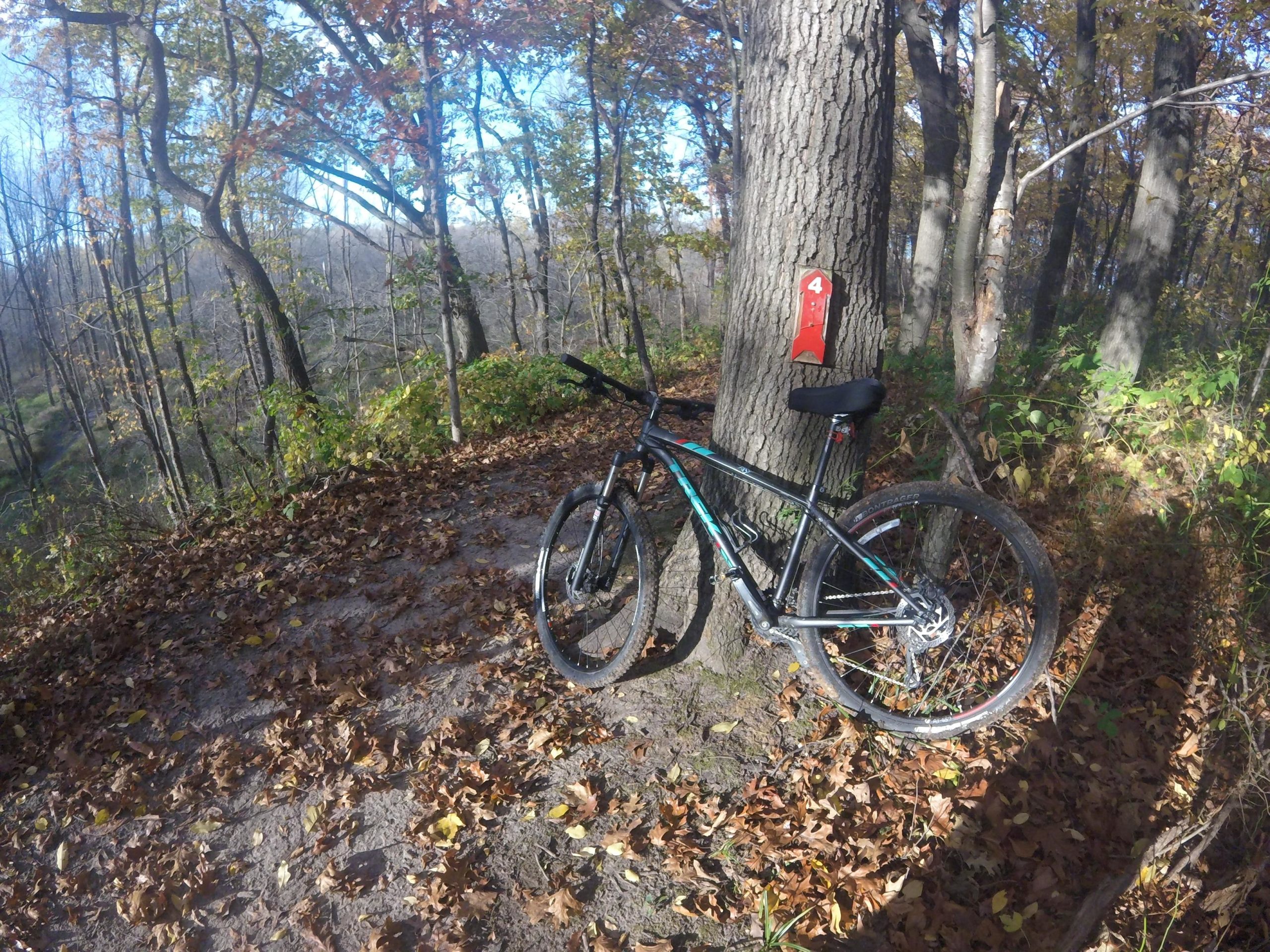 A mountain bike leans against a tree in a forested area, surrounded by fallen autumn leaves. A red trail marker labeled "4" is visible on the tree trunk, indicating a biking or hiking trail. Trees with colorful foliage and a clear blue sky are in the background. Outback Trail at Imagination Glenn mountain bike trail.