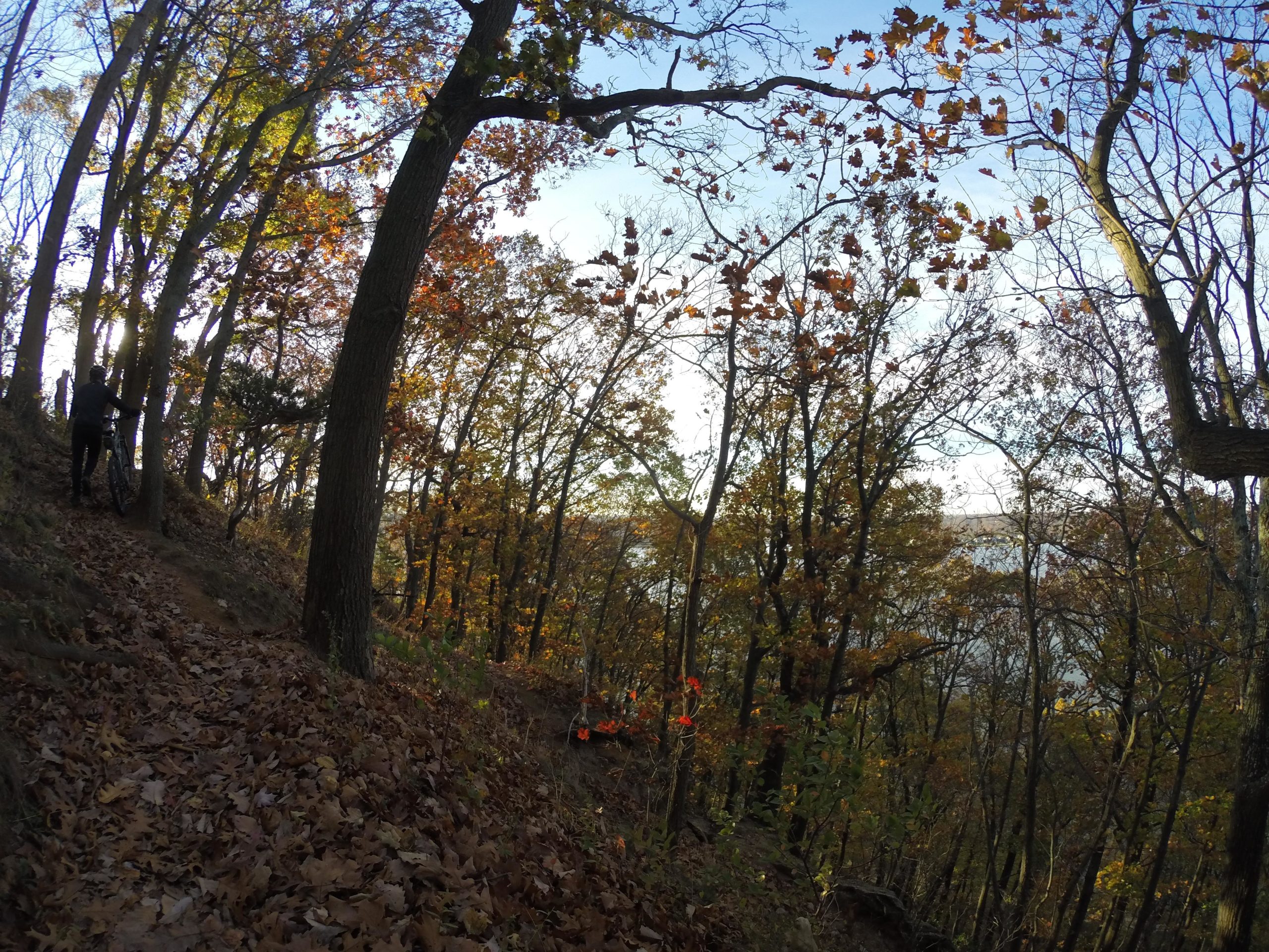 A scenic view of a wooded trail during autumn, showcasing vibrant orange and yellow leaves. A silhouette of a person stands beside a bicycle, surrounded by tall trees. The sunlight filters through the branches, illuminating the landscape and hinting at a body of water in the distance. Hartshorne Woods Park mountain bike trail.