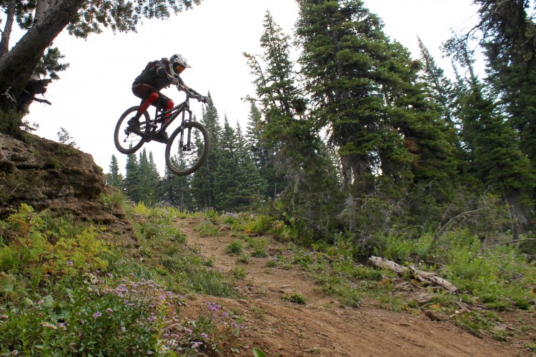 A mountain biker wearing a helmet and protective gear jumps off a rocky ledge, surrounded by lush greenery and tall trees in a forested area. Wildflowers are visible on the ground, adding color to the dirt trail.