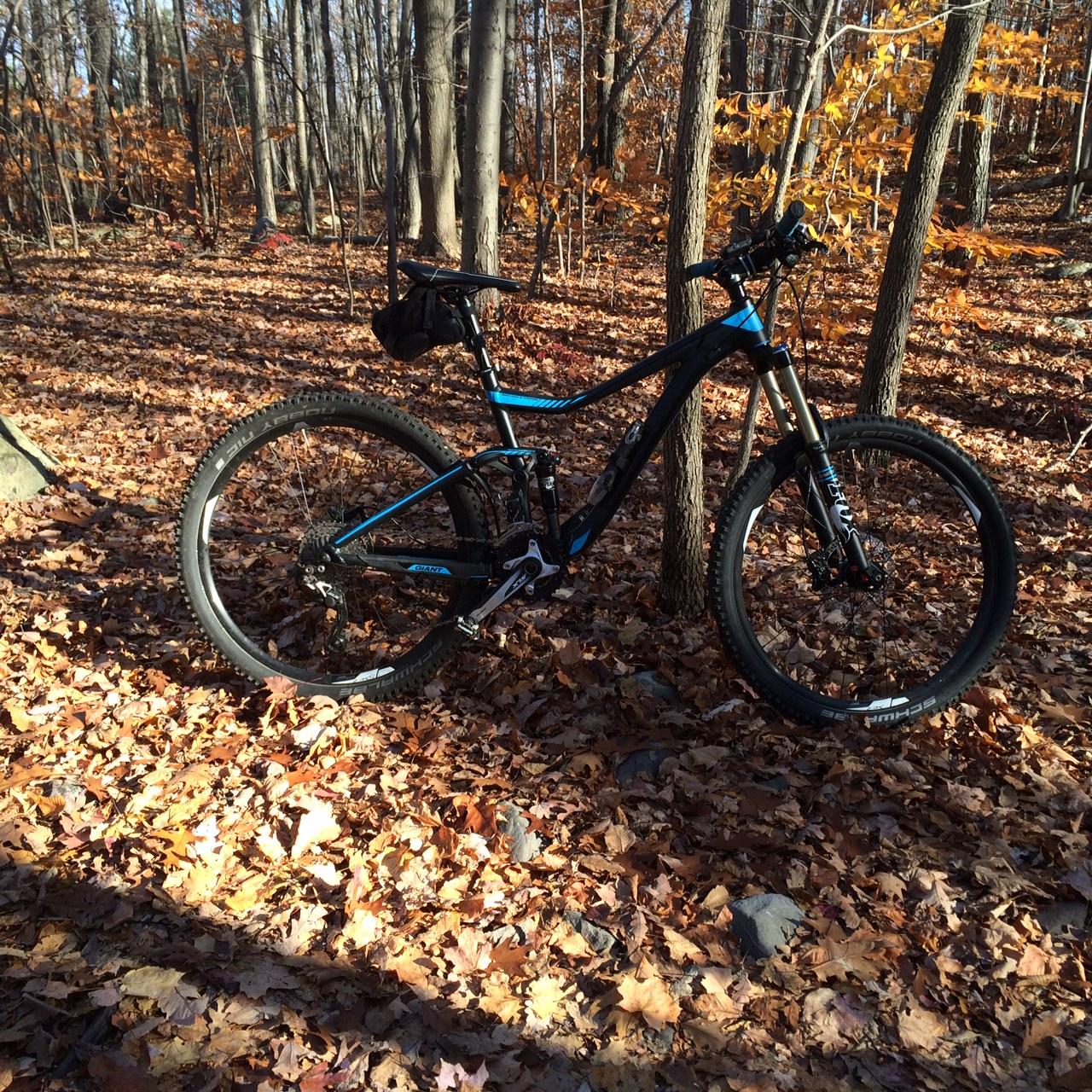 A blue and black mountain bike is positioned on a ground covered with autumn leaves, surrounded by trees with sparse foliage. The scene captures a wooded area in fall, with sunlight filtering through the branches. Long Pond Ironworks State Park mountain bike trail.