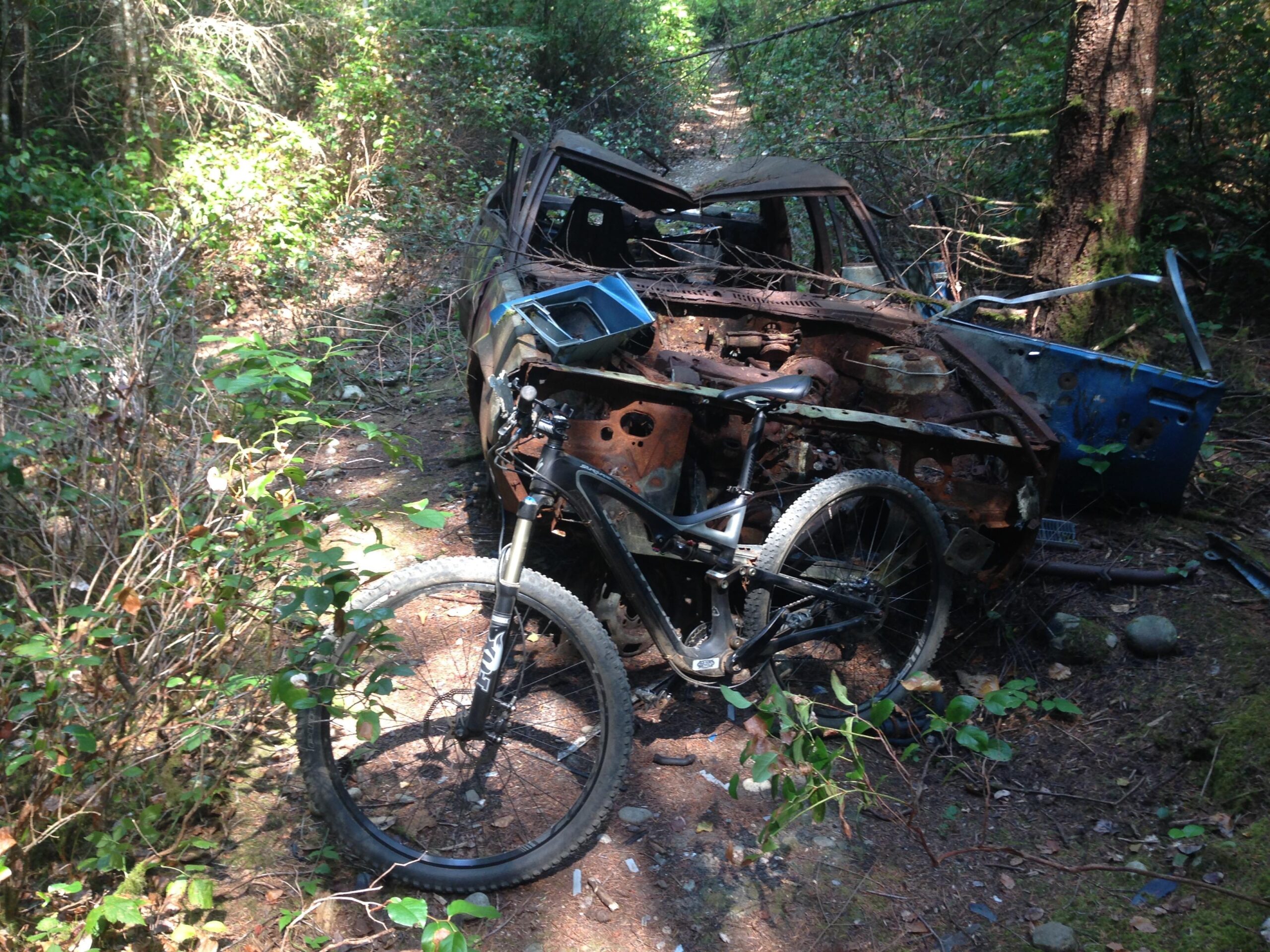 Specialized Stumpjumper FSR Comp Carbon 29: A mountain bike rests beside a partially rusted and abandoned car in a wooded trail, surrounded by thick vegetation and sunlight filtering through the trees.