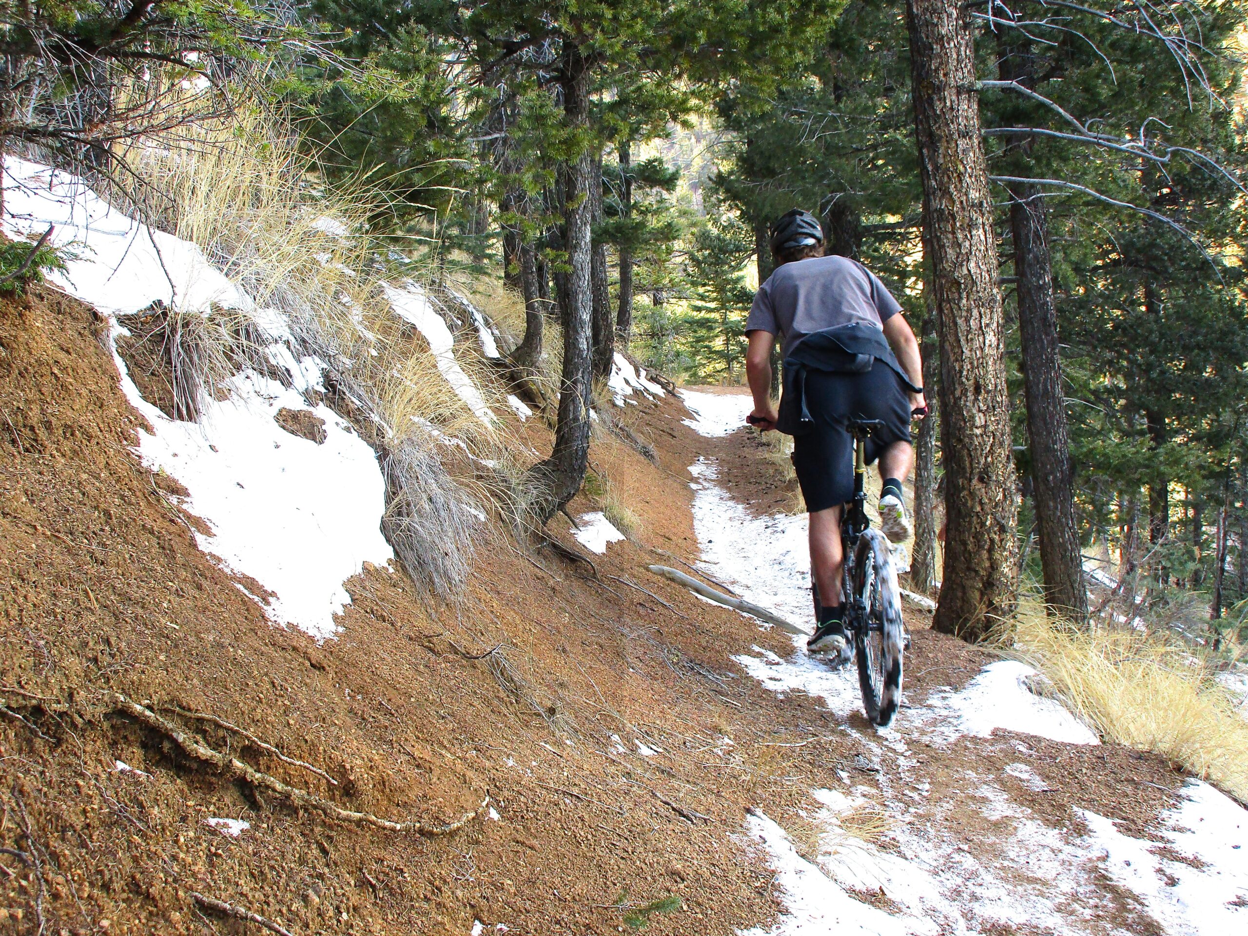A person riding a mountain bike on a narrow, snow-dusted trail surrounded by trees. The rider is viewed from behind, navigating up a sloped path through a forested area with patches of snow and earthy ground. Bear Creek Canyon Loop mountain bike trail.