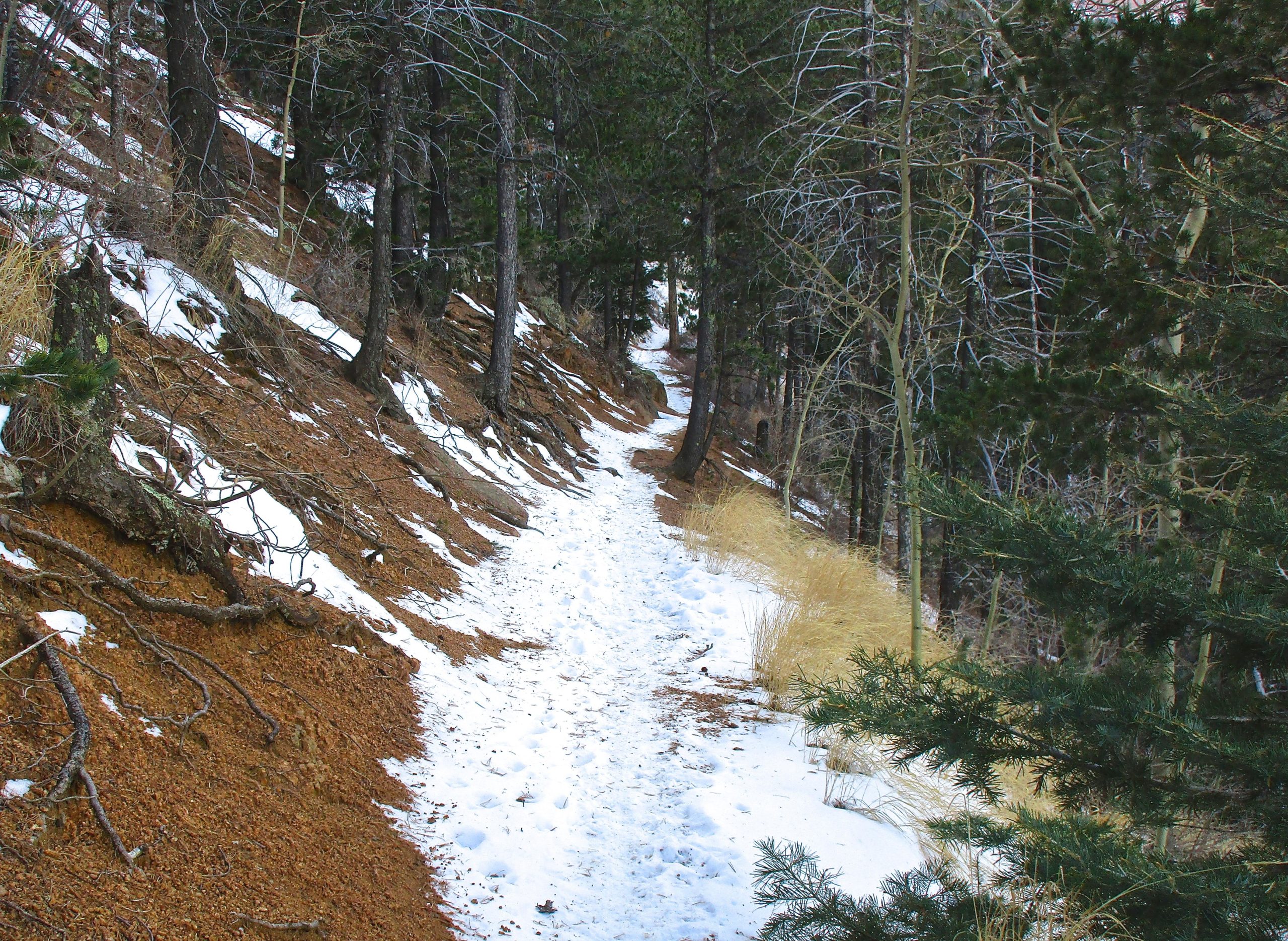 A snowy hiking trail winding through a forest, flanked by trees and patches of grassy vegetation. The path is partially covered in snow, with exposed earth and tree roots along the sides. The atmosphere appears calm and serene, typical of a winter landscape. Bear Creek Canyon Loop mountain bike trail.