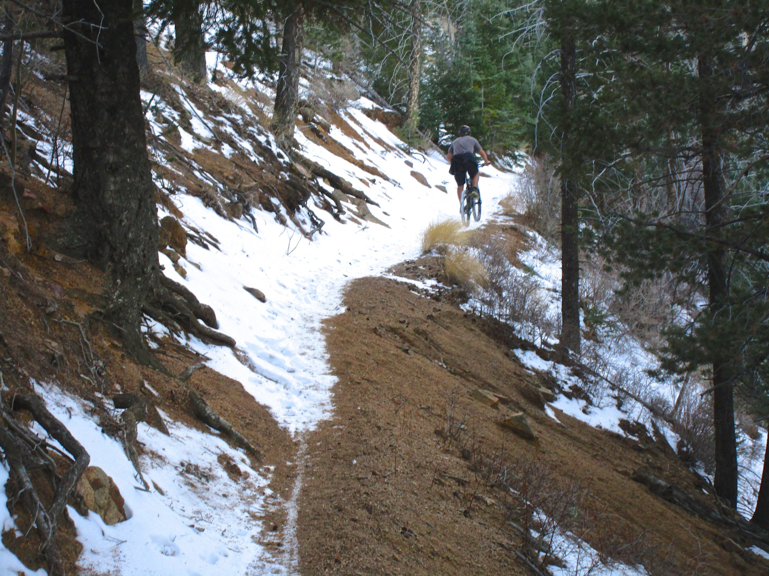 A cyclist riding a mountain bike on a narrow, snowy trail surrounded by trees. The path is partially covered in snow and dirt, with visible roots and rocks along the sides. The scene captures the mountainous terrain during the winter season. Bear Creek Canyon Loop mountain bike trail.