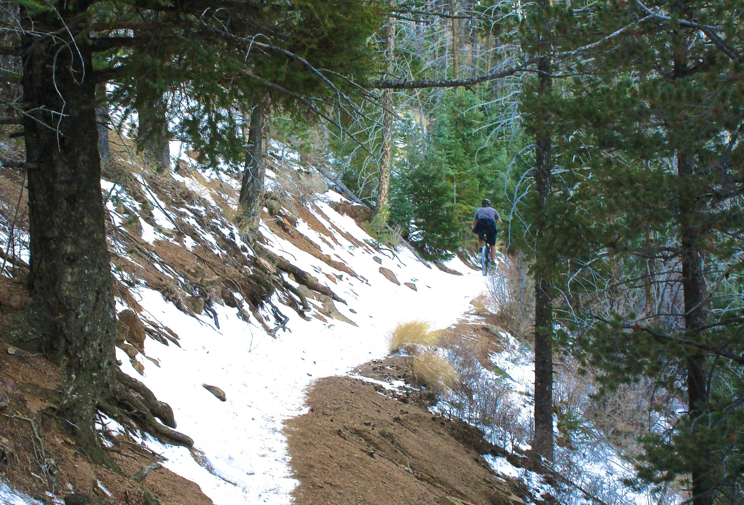 A person walking on a narrow trail in a forest, surrounded by trees and patches of snow, with rocky terrain and some underbrush visible along the path. Bear Creek Canyon Loop mountain bike trail.