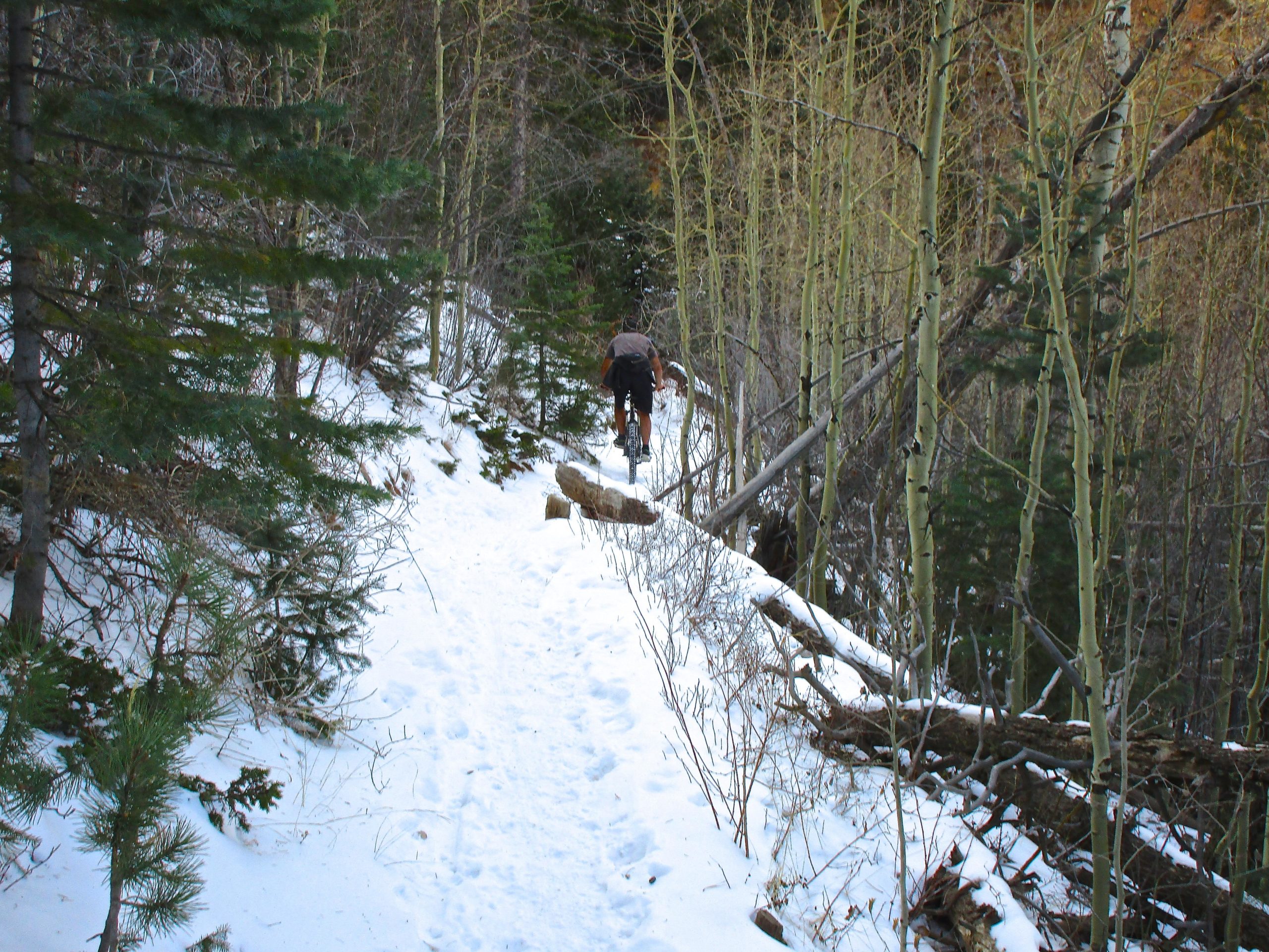 A hiker navigating a snowy trail surrounded by trees in a winter forest. The path is partially covered by snow, with patches of visible soil and fallen branches along the sides. The scene conveys a sense of tranquility and adventure in a natural setting. Bear Creek Canyon Loop mountain bike trail.