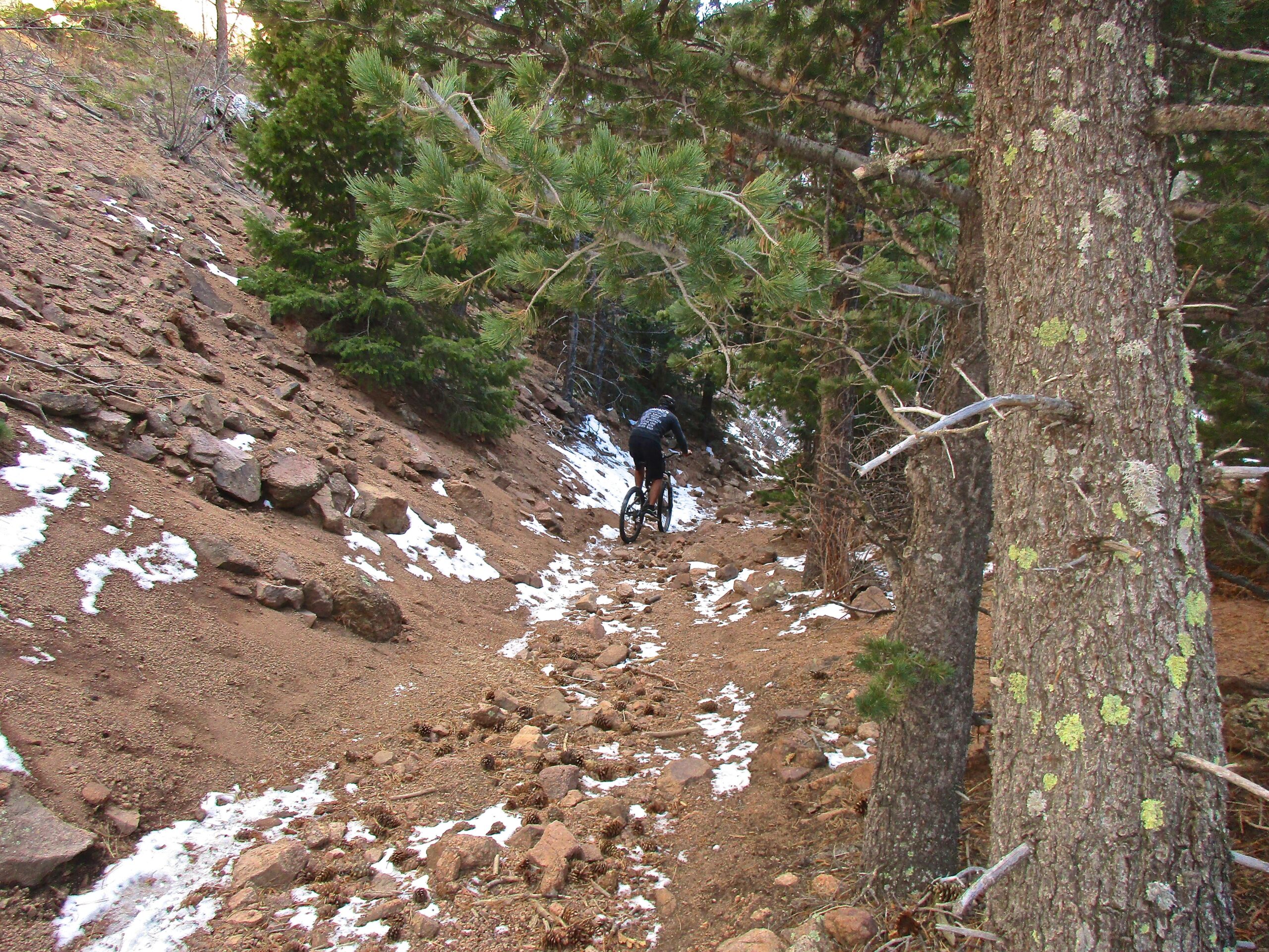 A mountain biker navigating a rocky trail surrounded by trees, with patches of snow on the ground. The path is uneven, showcasing a natural terrain typical of outdoor biking locations. Bear Creek Canyon Loop mountain bike trail.