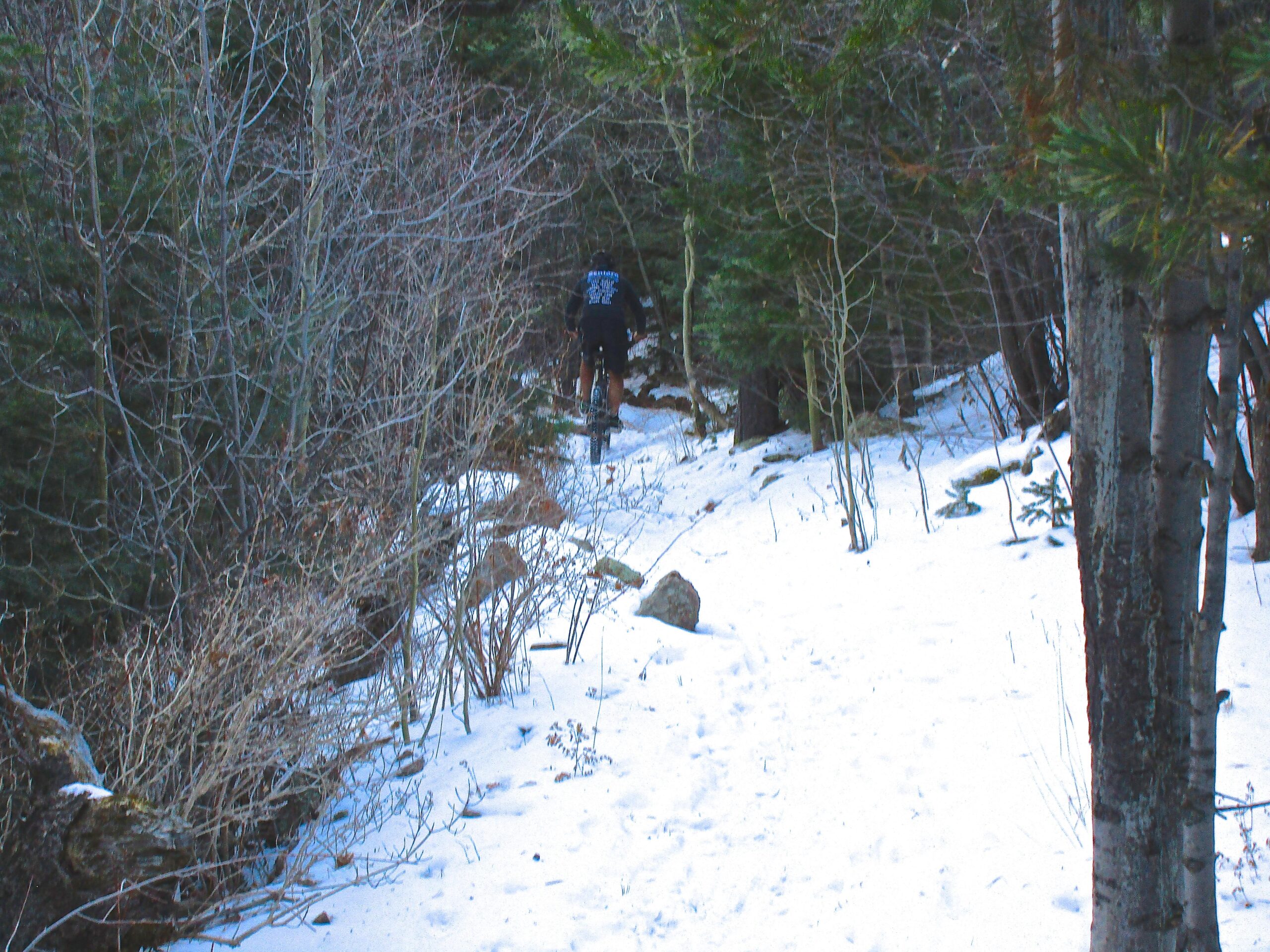 A person biking along a snow-covered trail surrounded by trees and shrubs. The path is narrow and winding, with rocks visible along the edges, indicating a natural setting in a wooded area. Bear Creek Canyon Loop mountain bike trail.