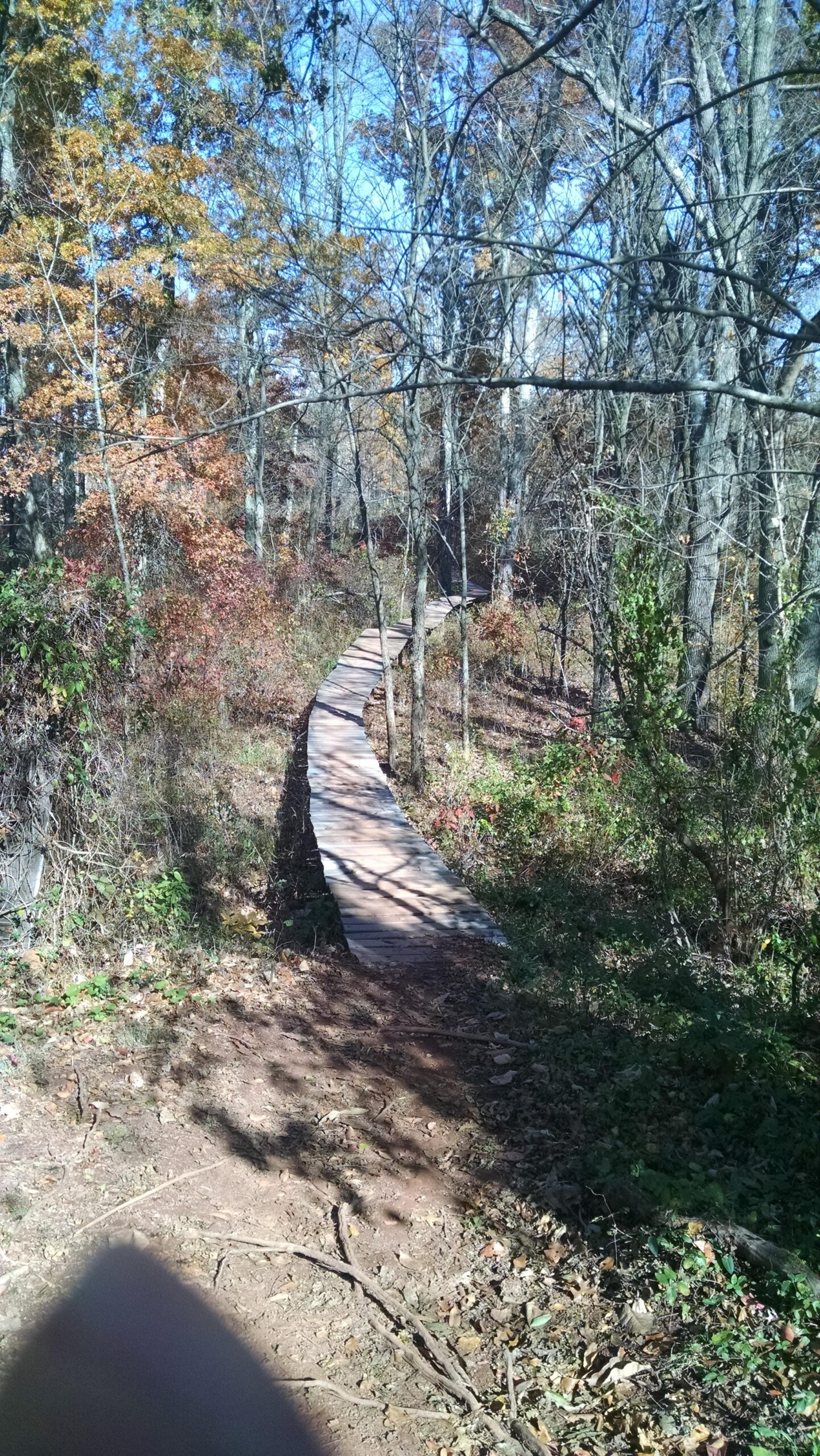 A winding wooden boardwalk path through a wooded area with autumn foliage, surrounded by trees and shrubs. Six Mile Run mountain bike trail.