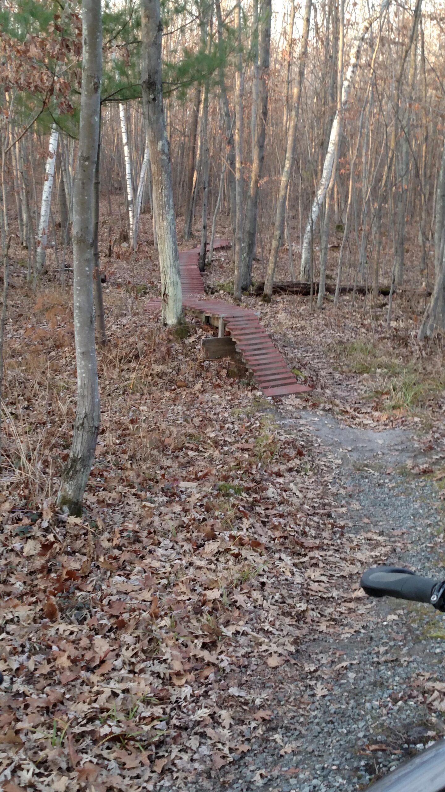 A narrow wooden bridge crosses a small pathway through a forest, surrounded by tall trees with sparse leaves. The ground is covered with fallen leaves, and another trail, made of gravel, is visible nearby. The scene is serene and showcases a peaceful autumn landscape. Levis Mounds mountain bike trail.