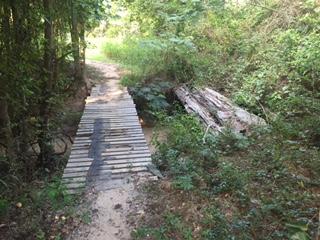 A narrow wooden bridge spans a small creek, surrounded by lush greenery and tall trees. A dirt path leads towards the bridge, which is partially covered with vegetation. On one side, a fallen log is visible near the creek. L.H. Thomson Trails mountain bike trail.