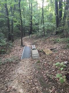 A narrow dirt trail winding through a lush green forest, with fallen leaves scattered along the path. Two wooden bridge structures are positioned across the trail, partially obscured by vegetation. The scene is serene, showcasing tall trees and soft light filtering through the leaves. L.H. Thomson Trails mountain bike trail.