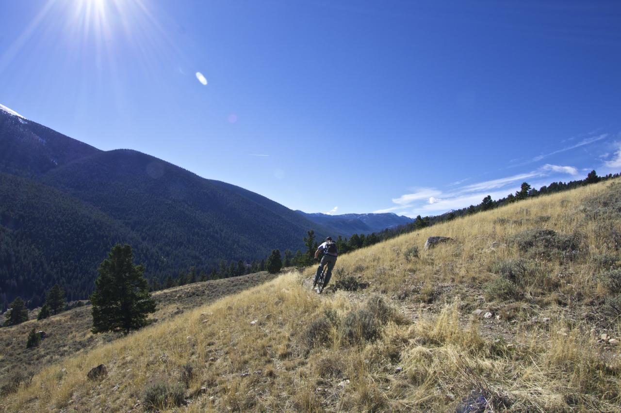 A mountain biker riding down a grassy slope with tall grass and scattered rocks, set against a backdrop of rolling mountains under a clear blue sky. The sun shines brightly, illuminating the landscape. Rocky Creek Loop mountain bike trail.