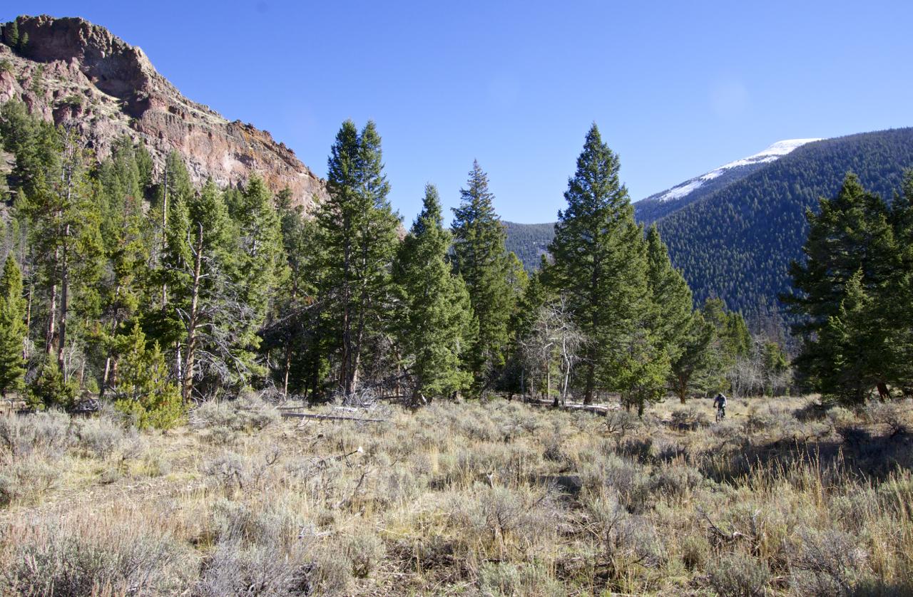 A scenic view of a mountainous landscape featuring a mix of evergreen trees and open grassy areas. In the background, a snow-capped peak rises against a clear blue sky. A person is seen walking through the vegetation, indicating exploration in this natural setting. Rocky Creek Loop mountain bike trail.