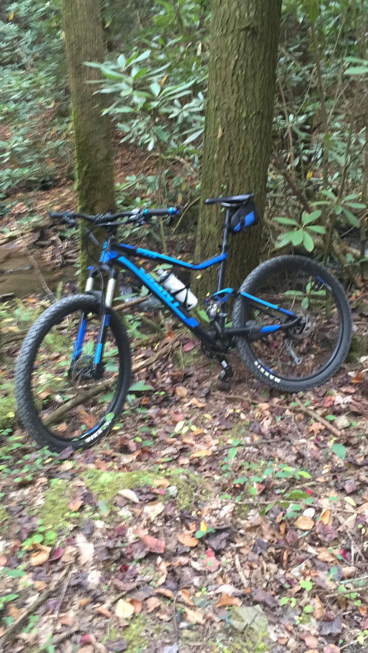 Giant Stance 27.5 2: A blue mountain bike leaning against a tree, surrounded by lush greenery and fallen leaves on the forest floor.