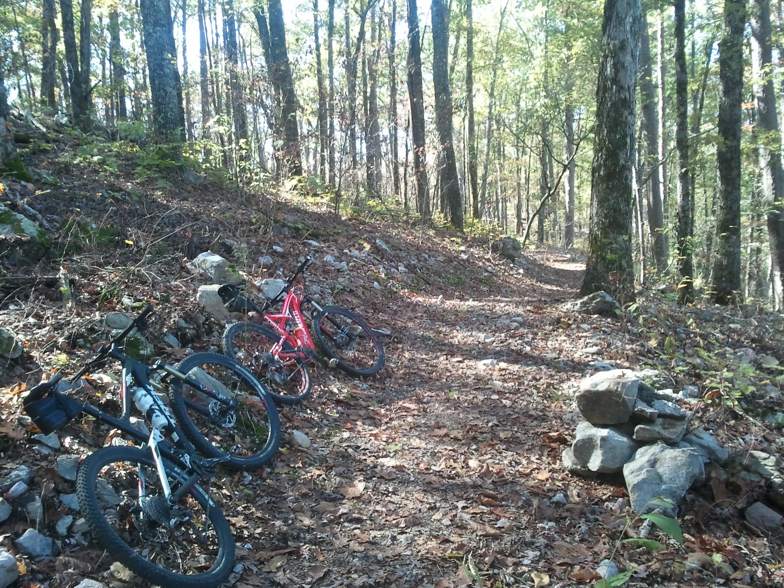 Two mountain bikes are resting on a leaf-covered trail in a wooded area filled with tall trees. The path is lined with rocks and fallen leaves, suggesting a quiet and natural environment ideal for outdoor cycling activities. Lake Ouachita Vista Trail (LOViT) mountain bike trail.
