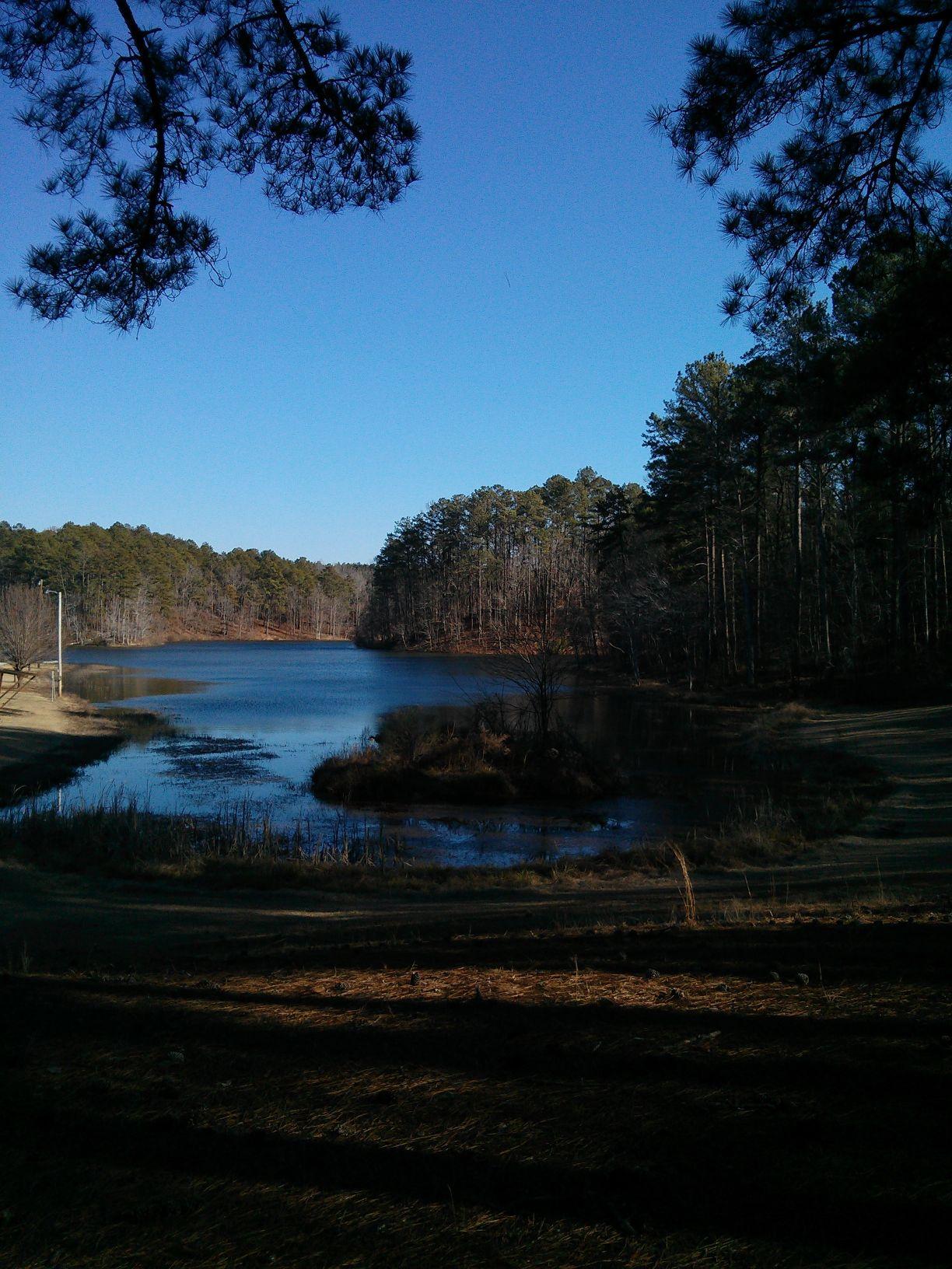 A serene lake surrounded by trees under a clear blue sky, with reflections in the water. The foreground features grassy areas leading up to the water's edge, and there are pine branches framing the top of the image. The landscape conveys a calm and peaceful nature scene. Sylaward mountain bike trail.