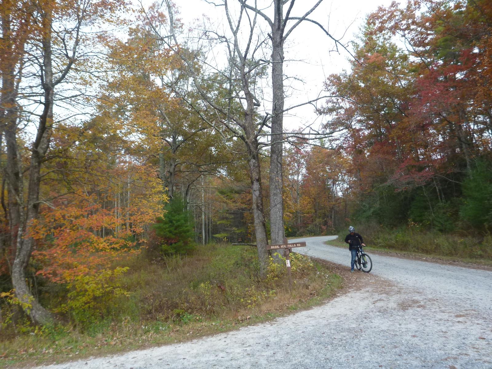 A cyclist pausing at a fork in a gravel path surrounded by autumn foliage, with trees displaying vibrant red, orange, and yellow leaves. A signpost indicates directions to nearby trails. DuPont State Recreational Forest mountain bike trail.