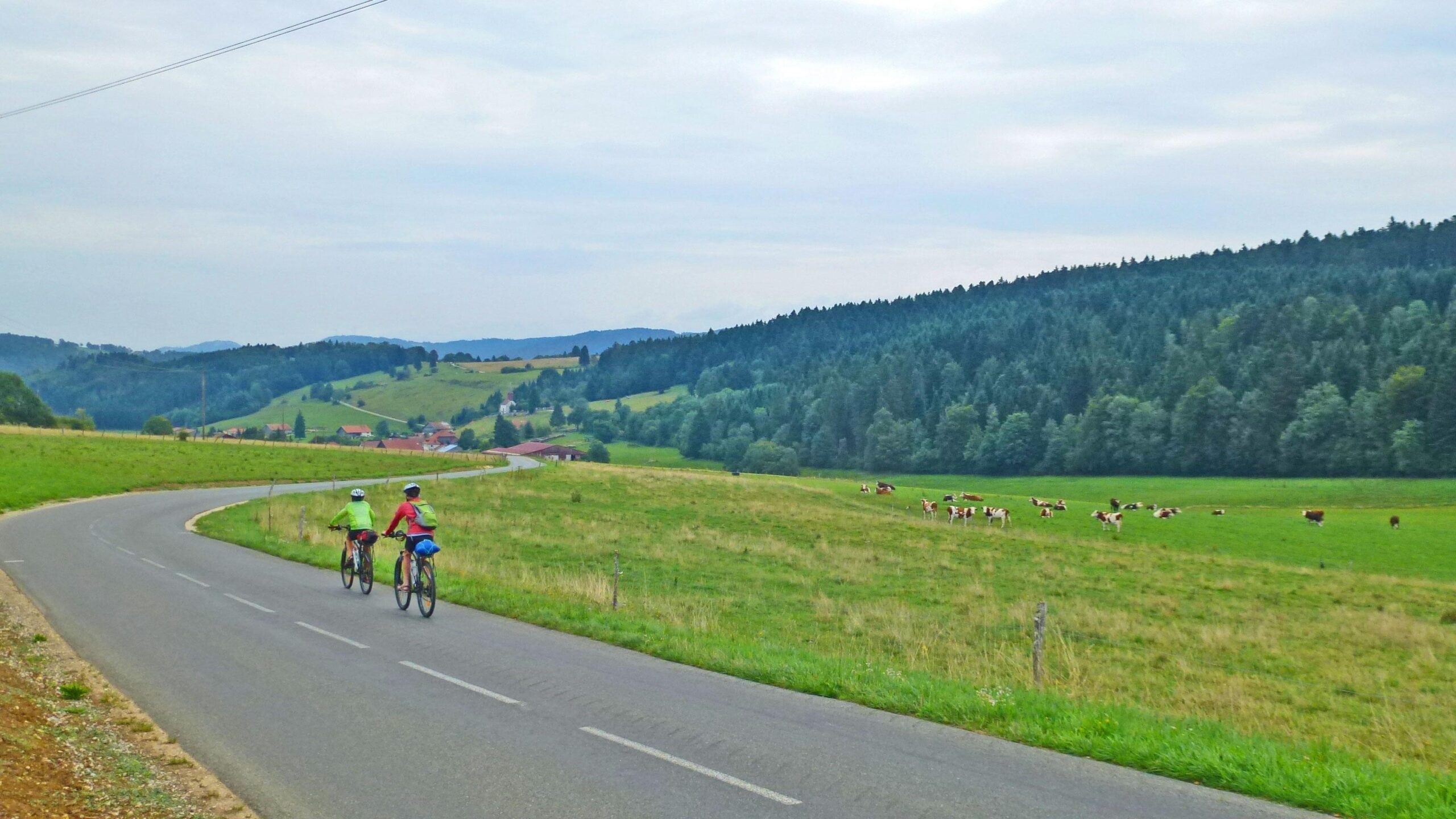 Two cyclists riding along a winding road in a rural landscape, surrounded by green fields and hills. In the background, cows graze peacefully, and a few scattered houses can be seen near the base of the hills under a cloudy sky. Great Jura Crossing mountain bike trail.