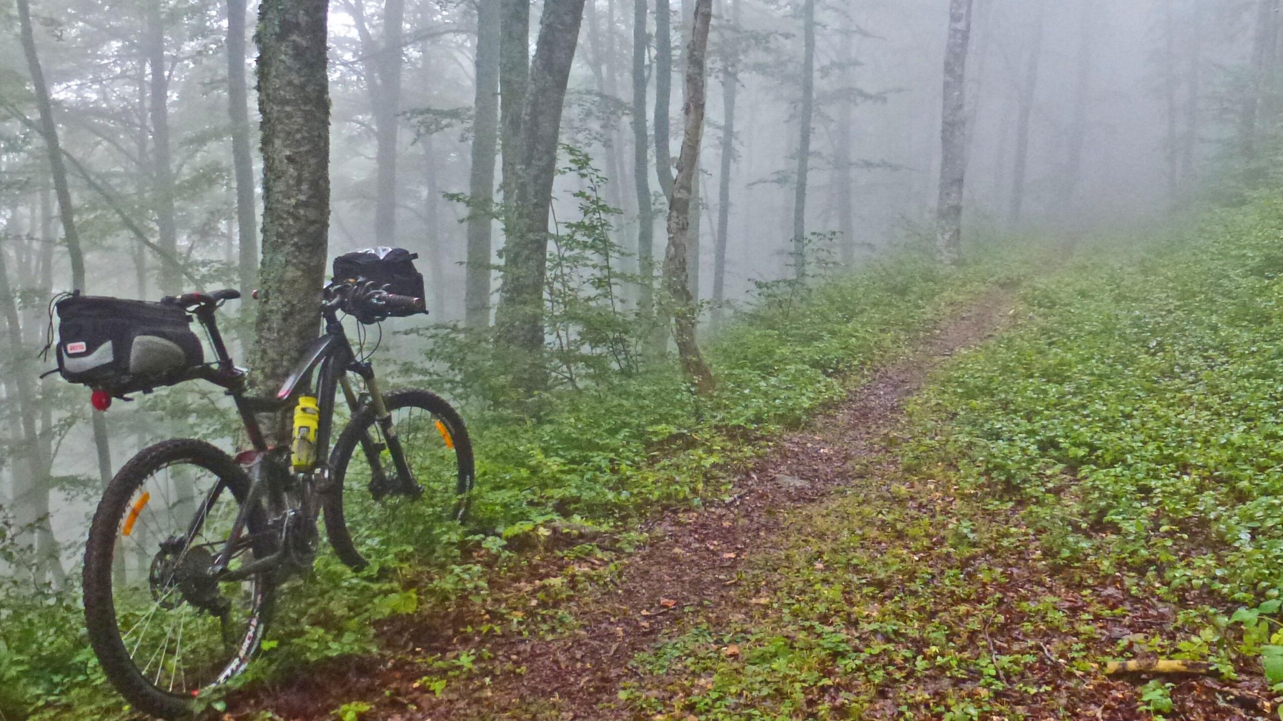 A mountain bike parked beside a narrow, muddy trail in a foggy forest. Surrounding the bike are lush green plants and trees that are partially obscured by mist, creating a serene and atmospheric scene. Great Crossing of the Ariege mountain bike trail.