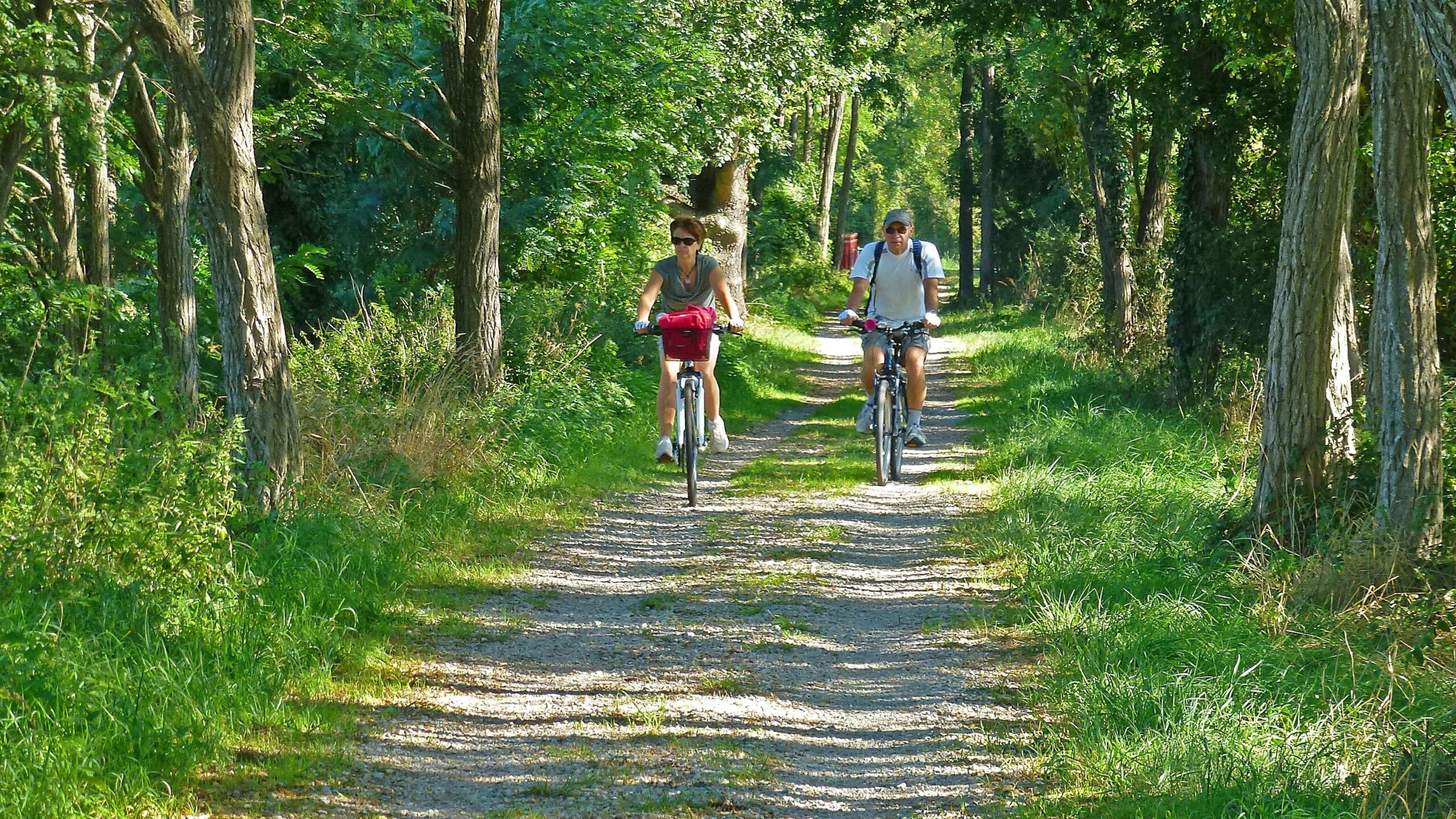 Two cyclists ride along a gravel path surrounded by trees and greenery. The sun filters through the leaves, creating a vibrant and serene outdoor scene. One cyclist, wearing casual clothing and sunglasses, rides a bike with a red bag attached to the front, while the other cyclist, dressed in a light shirt and shorts, follows closely behind. Great Crossing of the Ariege mountain bike trail.